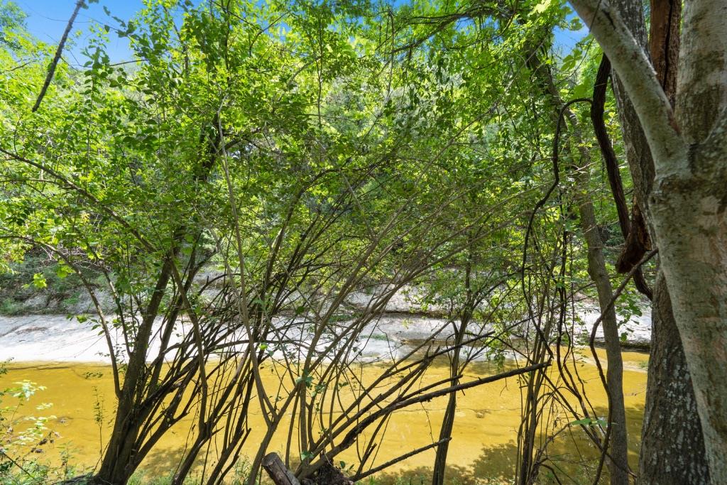 11651 River Oaks Trl Property Photo 26