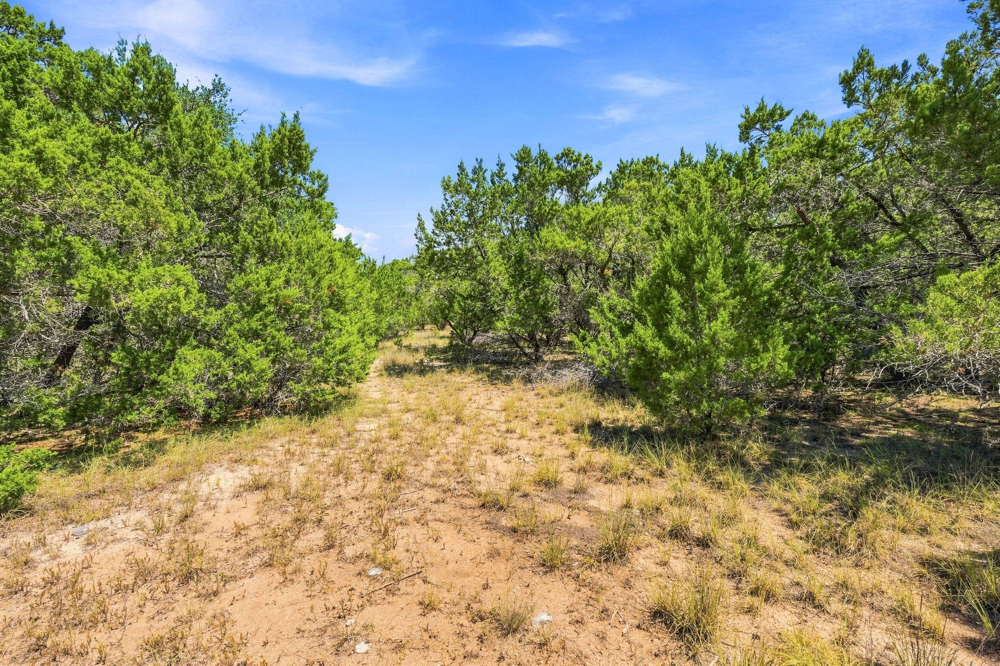 Tbd Tract 1 & 2 (22.5 Ac) Lipan Run Property Photo 11