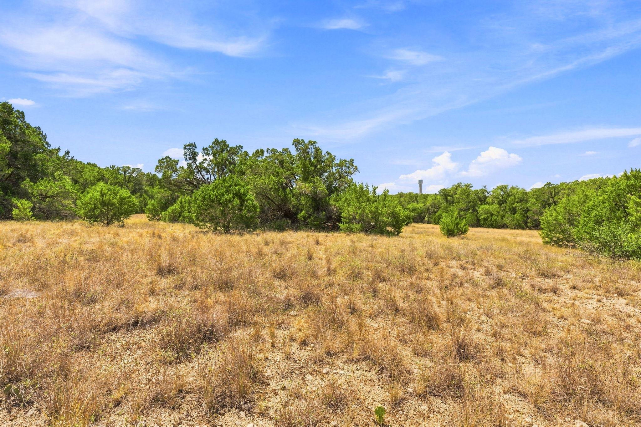 Tbd Tract 1 & 2 (22.5 Ac) Lipan Run Property Photo 14