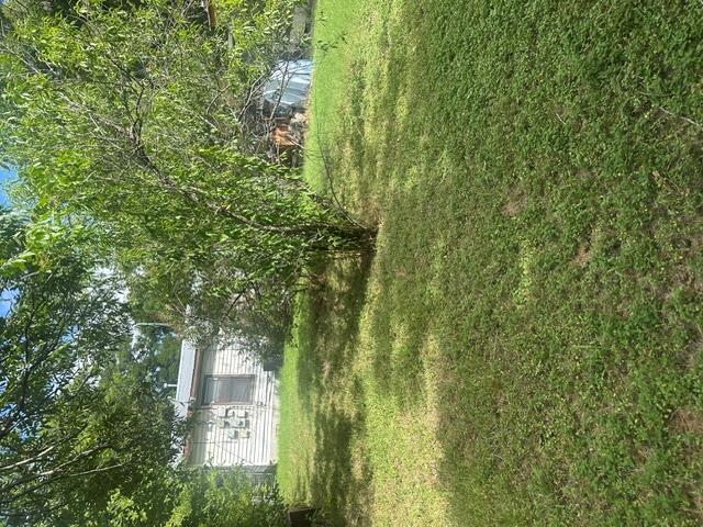 1127 Mark St #d Property Photo 4