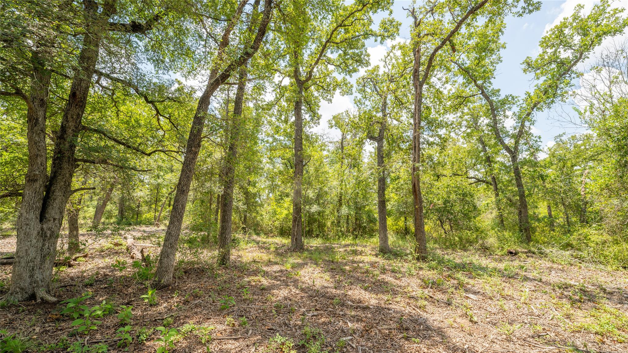 418-k County Road 405 Property Photo 2