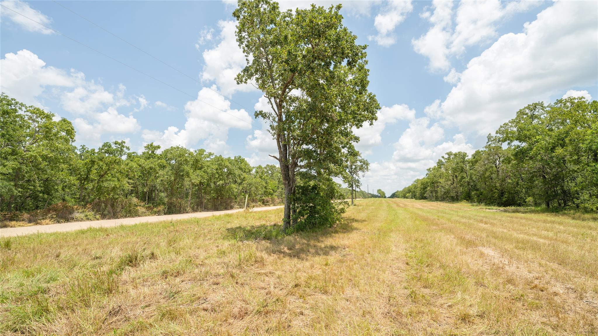 418-k County Road 405 Property Photo 4