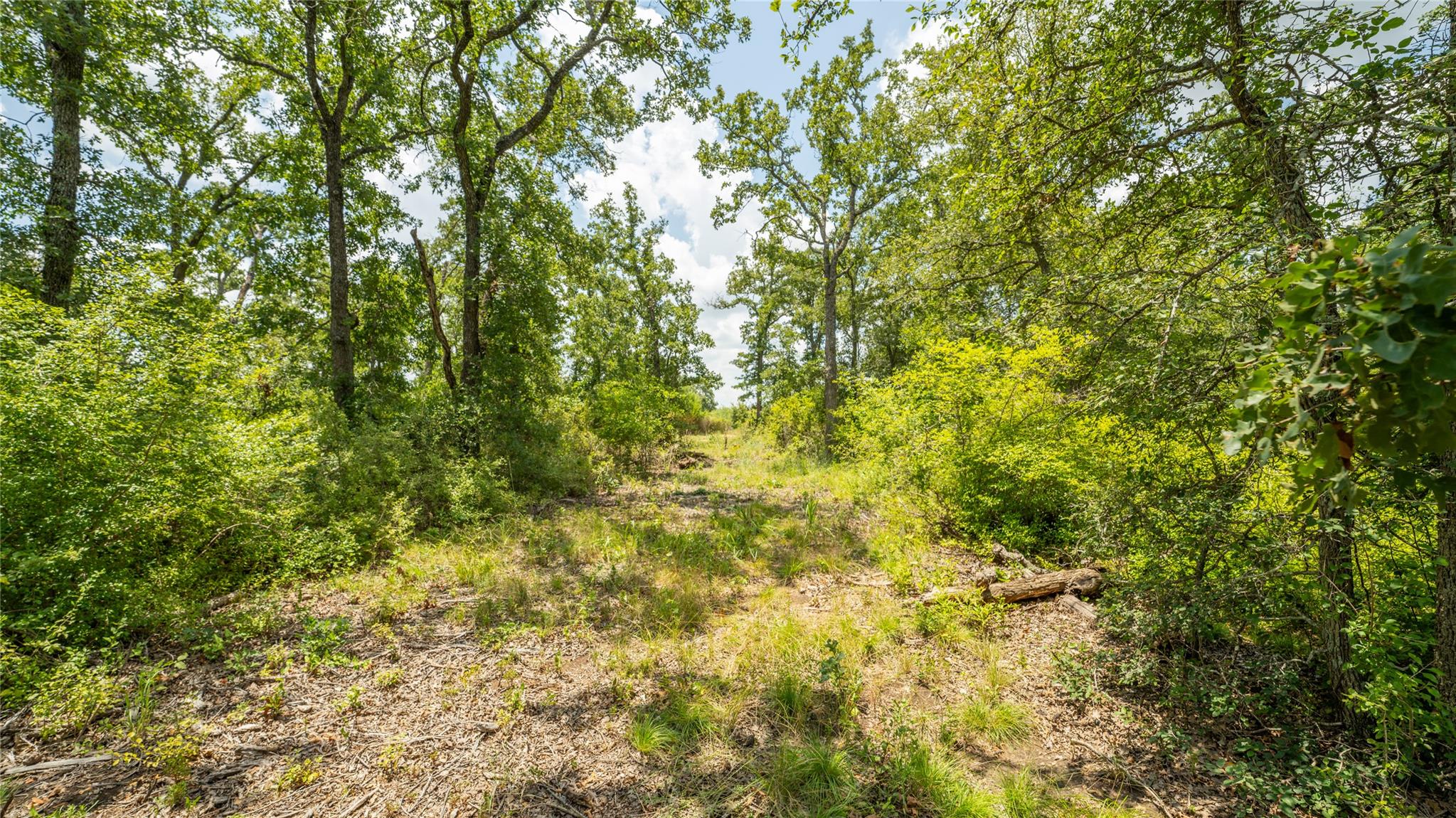 418-k County Road 405 Property Photo 6