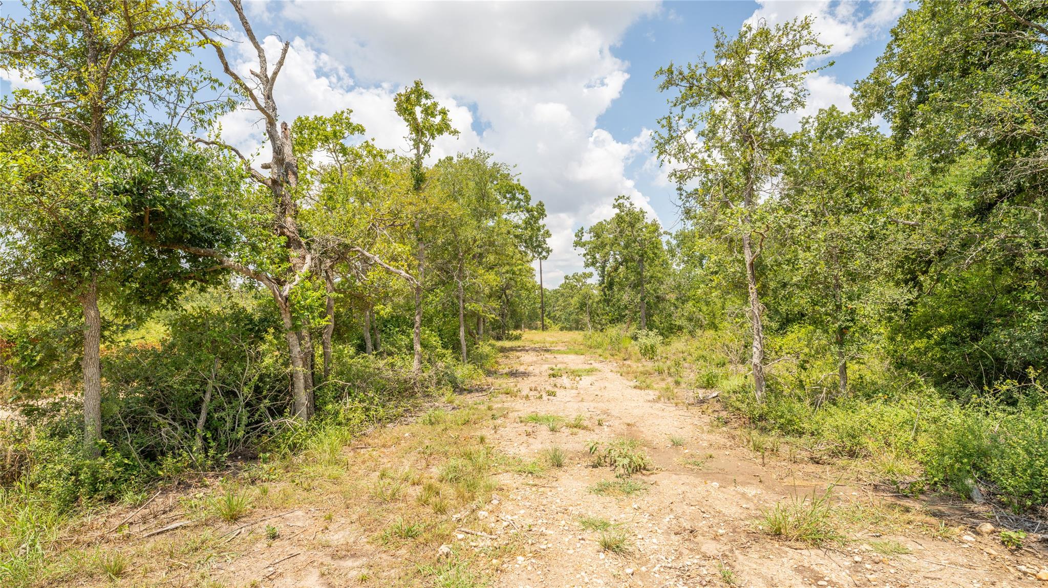 418-k County Road 405 Property Photo 12