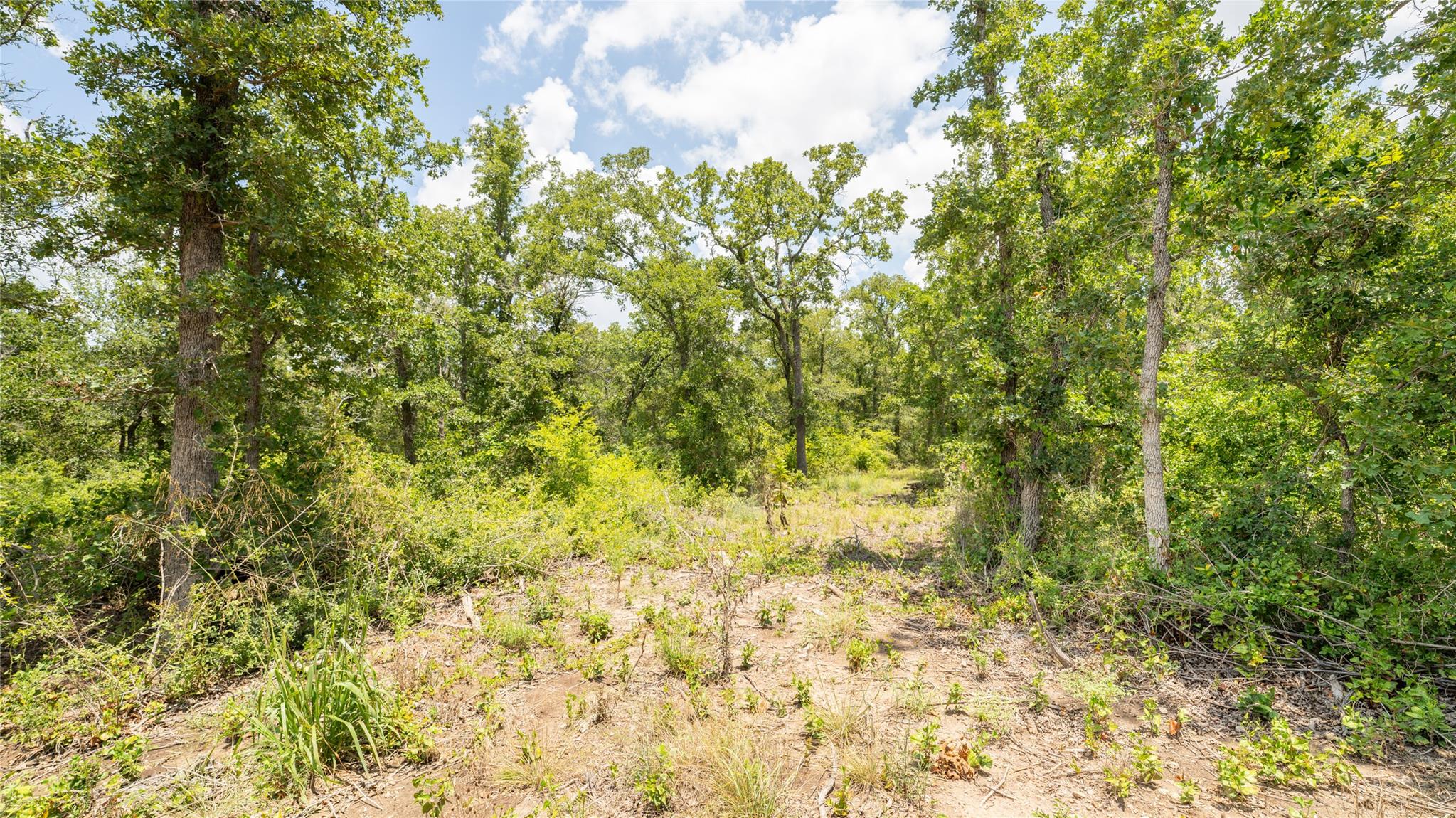 418-k County Road 405 Property Photo 17