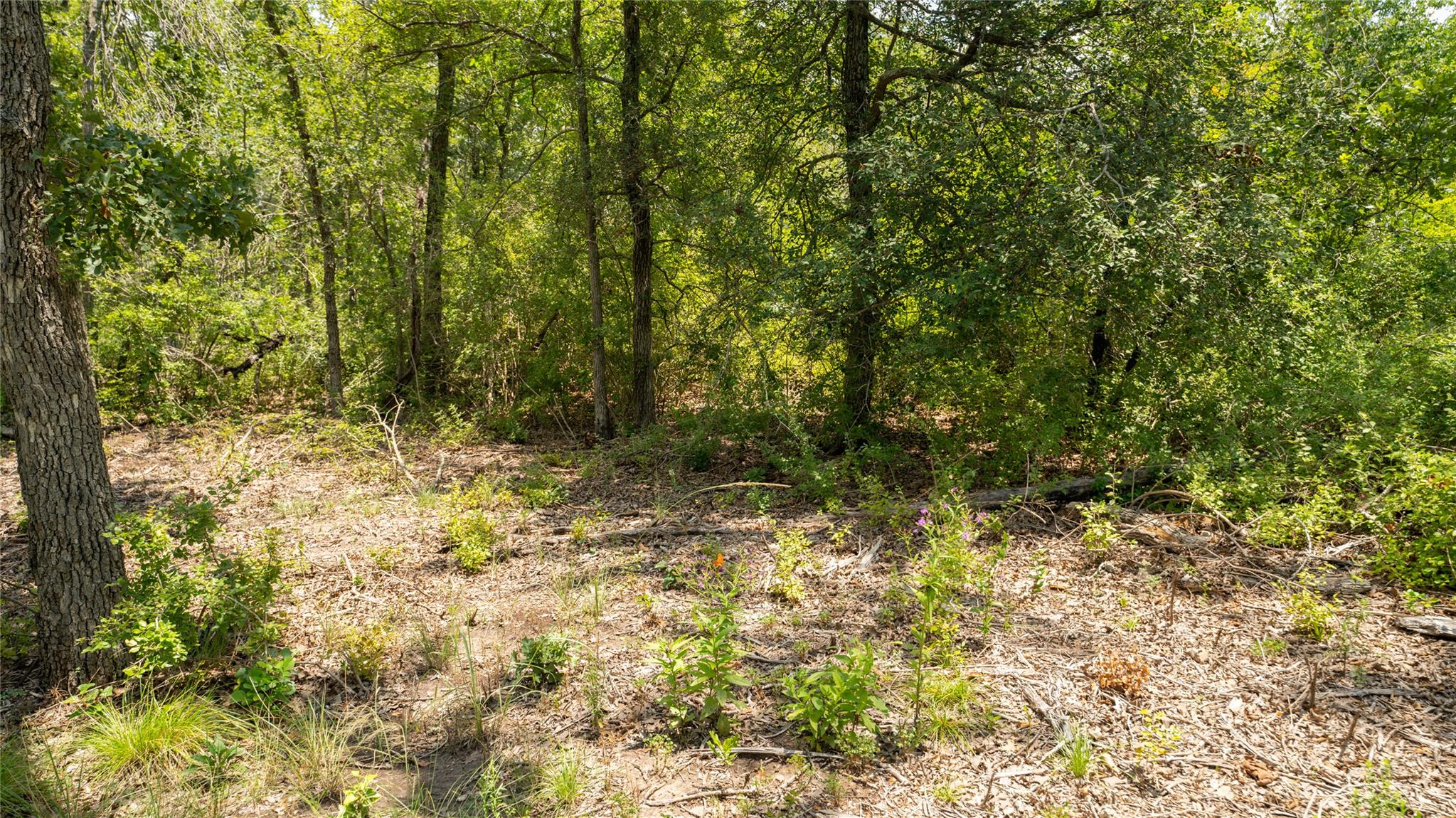 418-k County Road 405 Property Photo 18