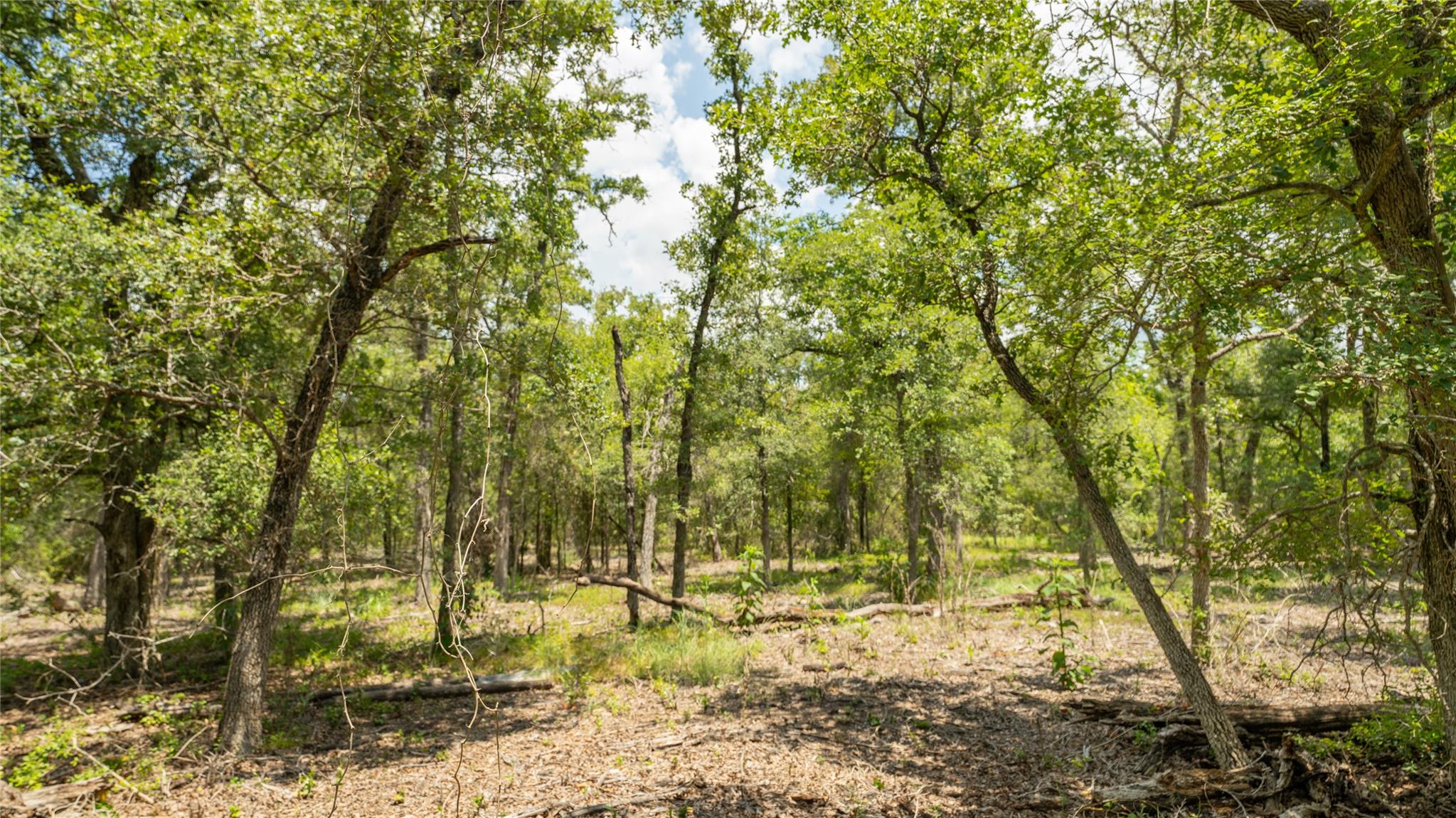 418-k County Road 405 Property Photo 19