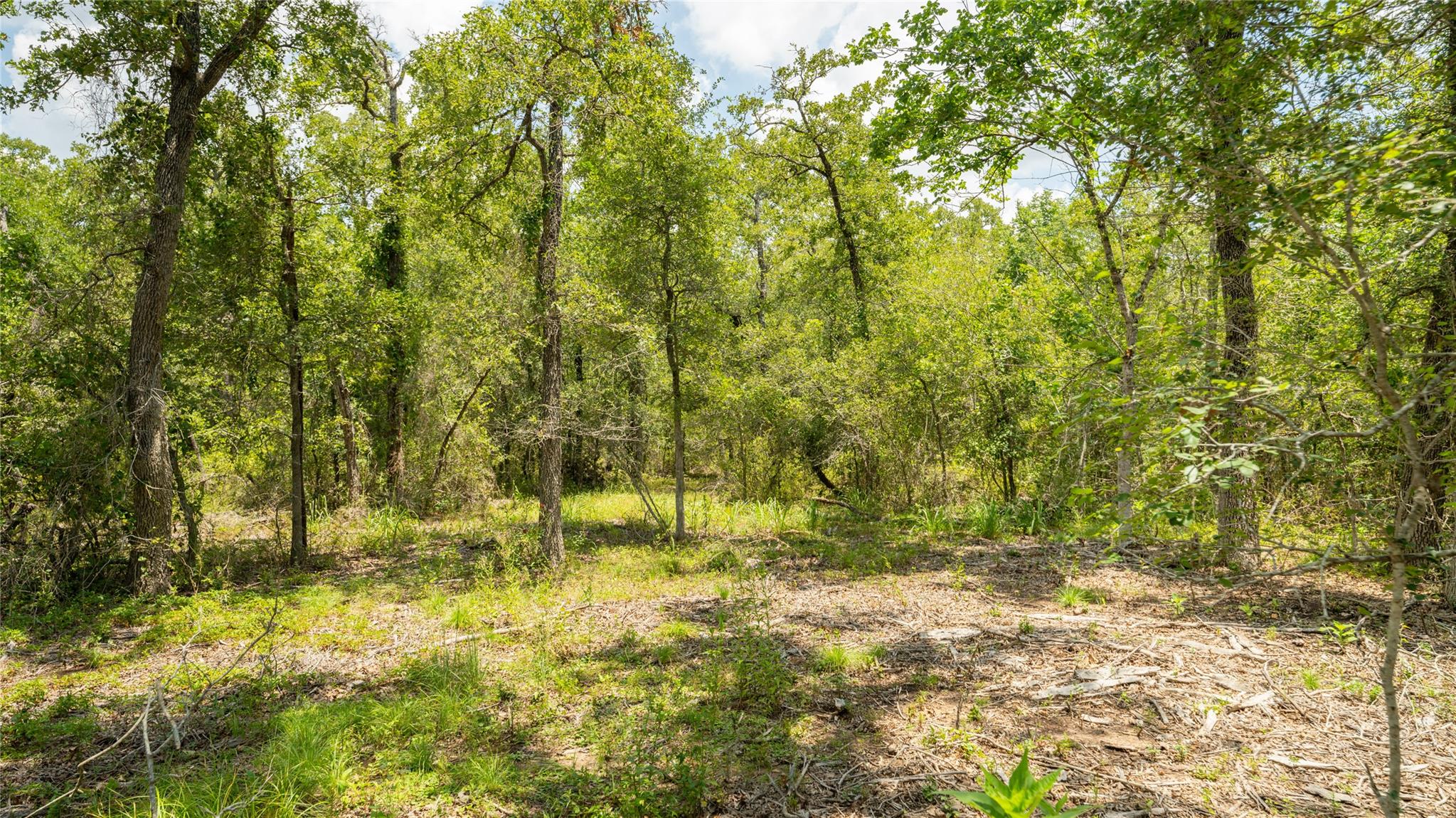 418-k County Road 405 Property Photo 20