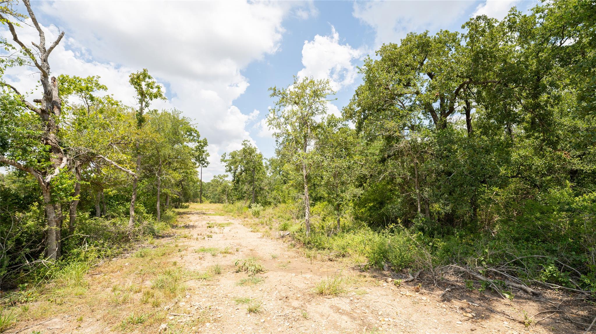 418-k County Road 405 Property Photo 25
