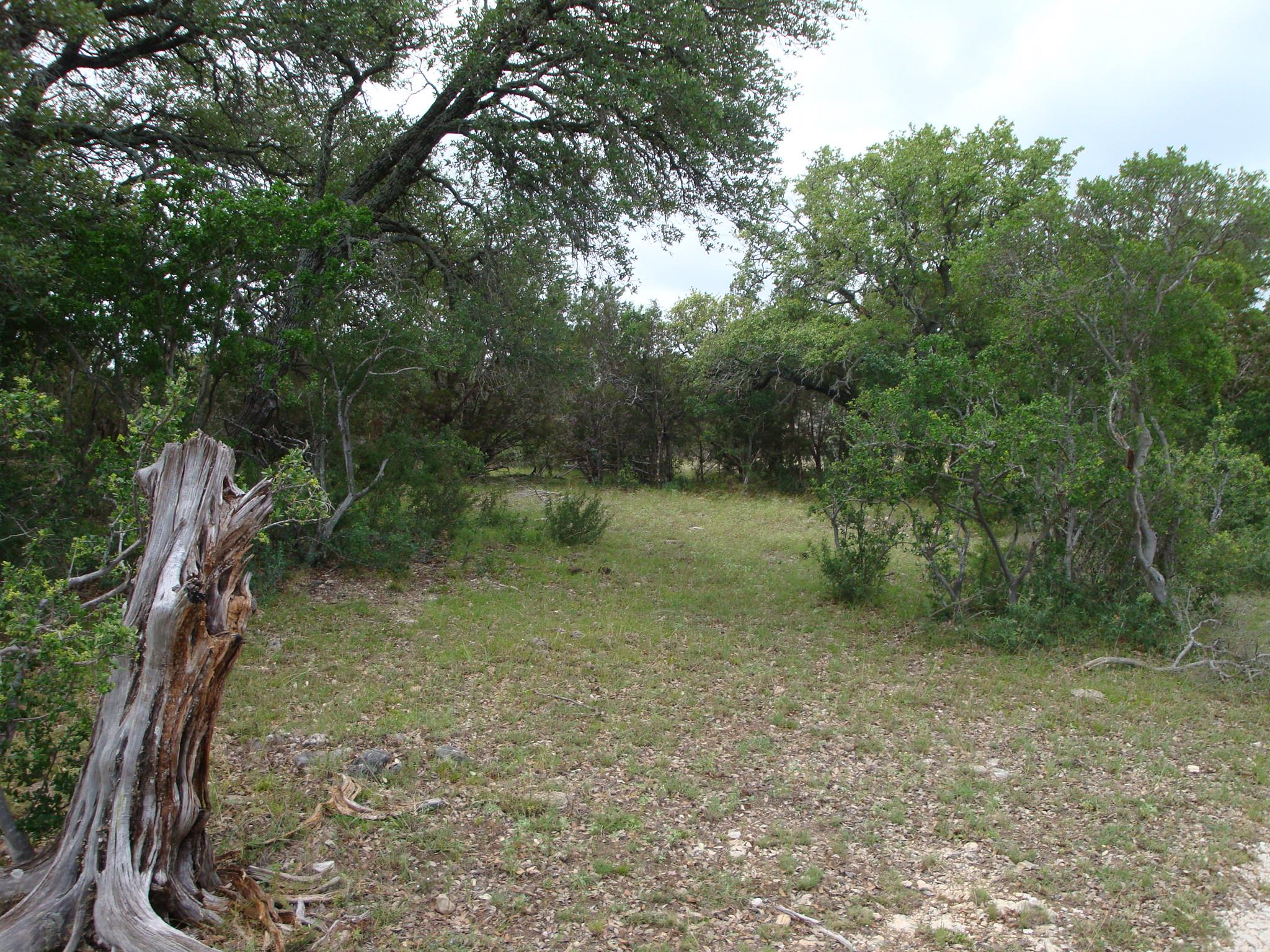 1619 Althaus Ranch Rd Property Photo 30