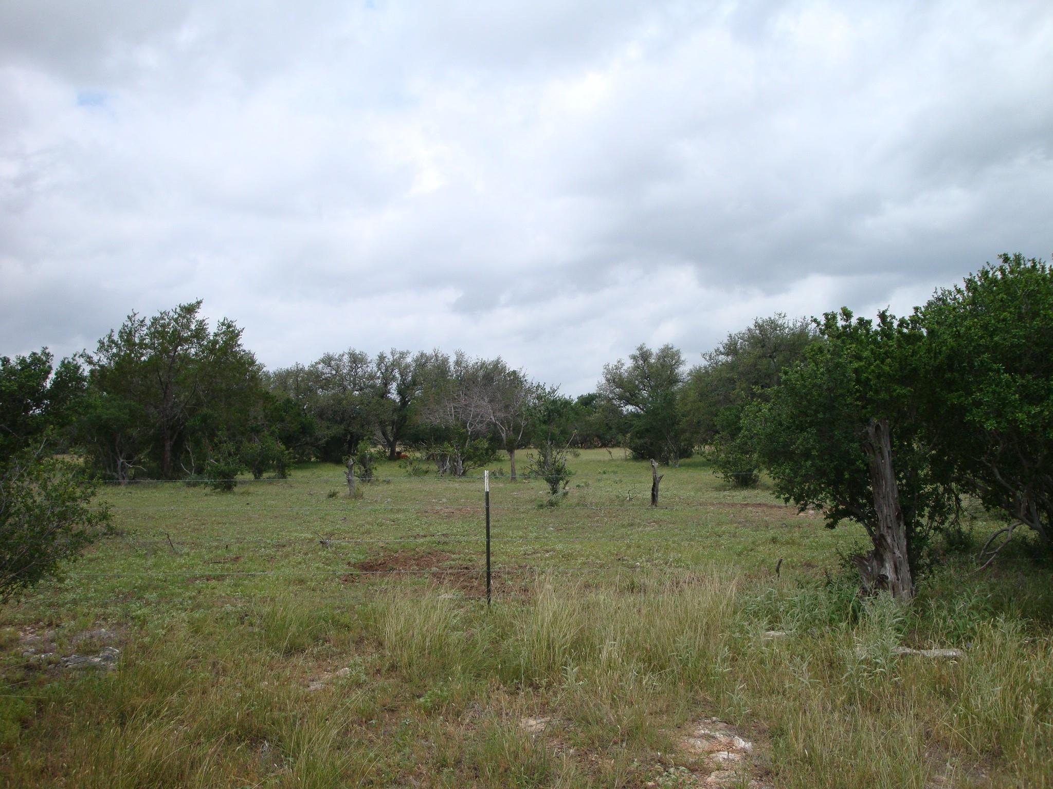 1619 Althaus Ranch Rd Property Photo 34