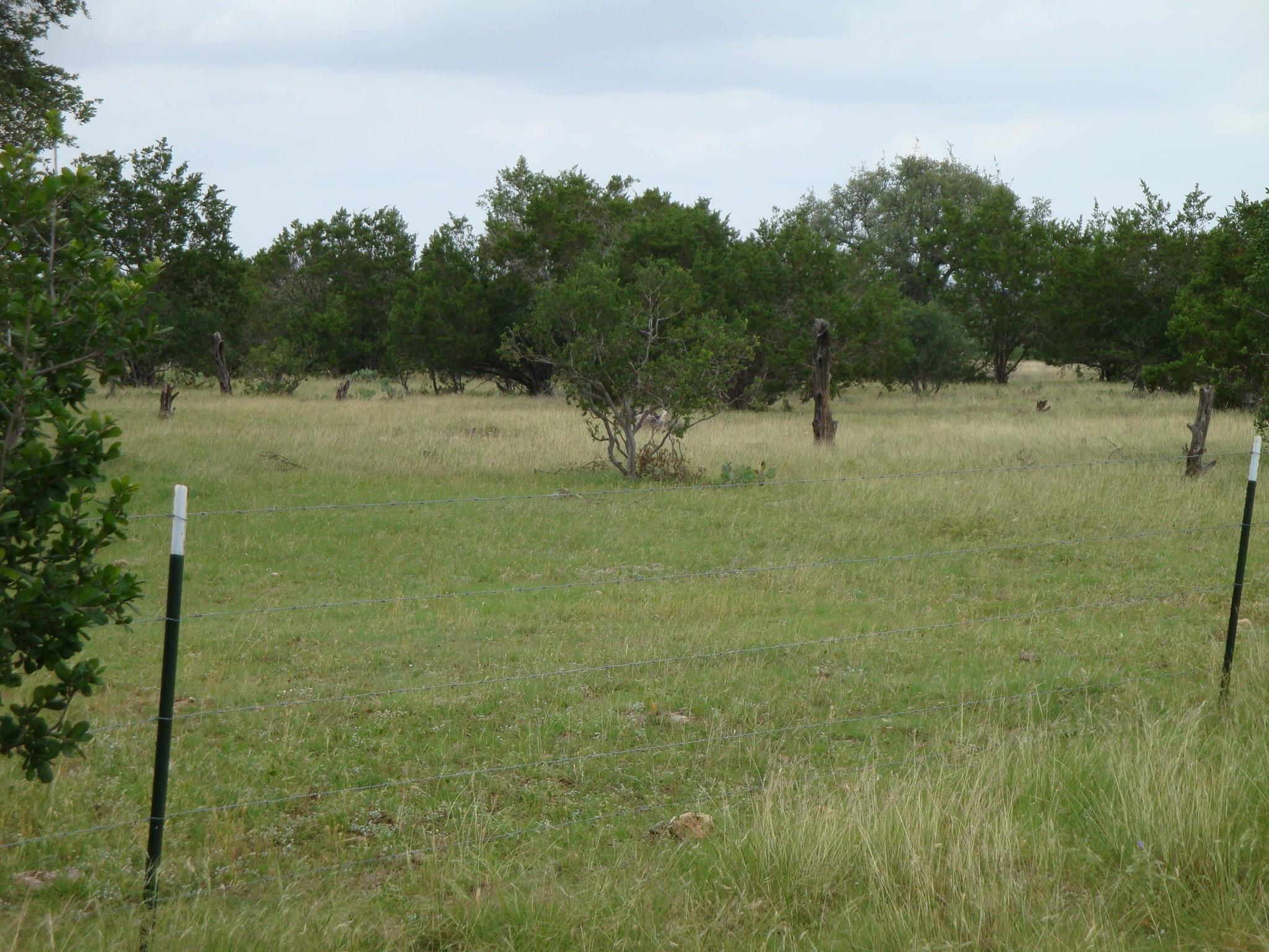 1619 Althaus Ranch Rd Property Photo 37