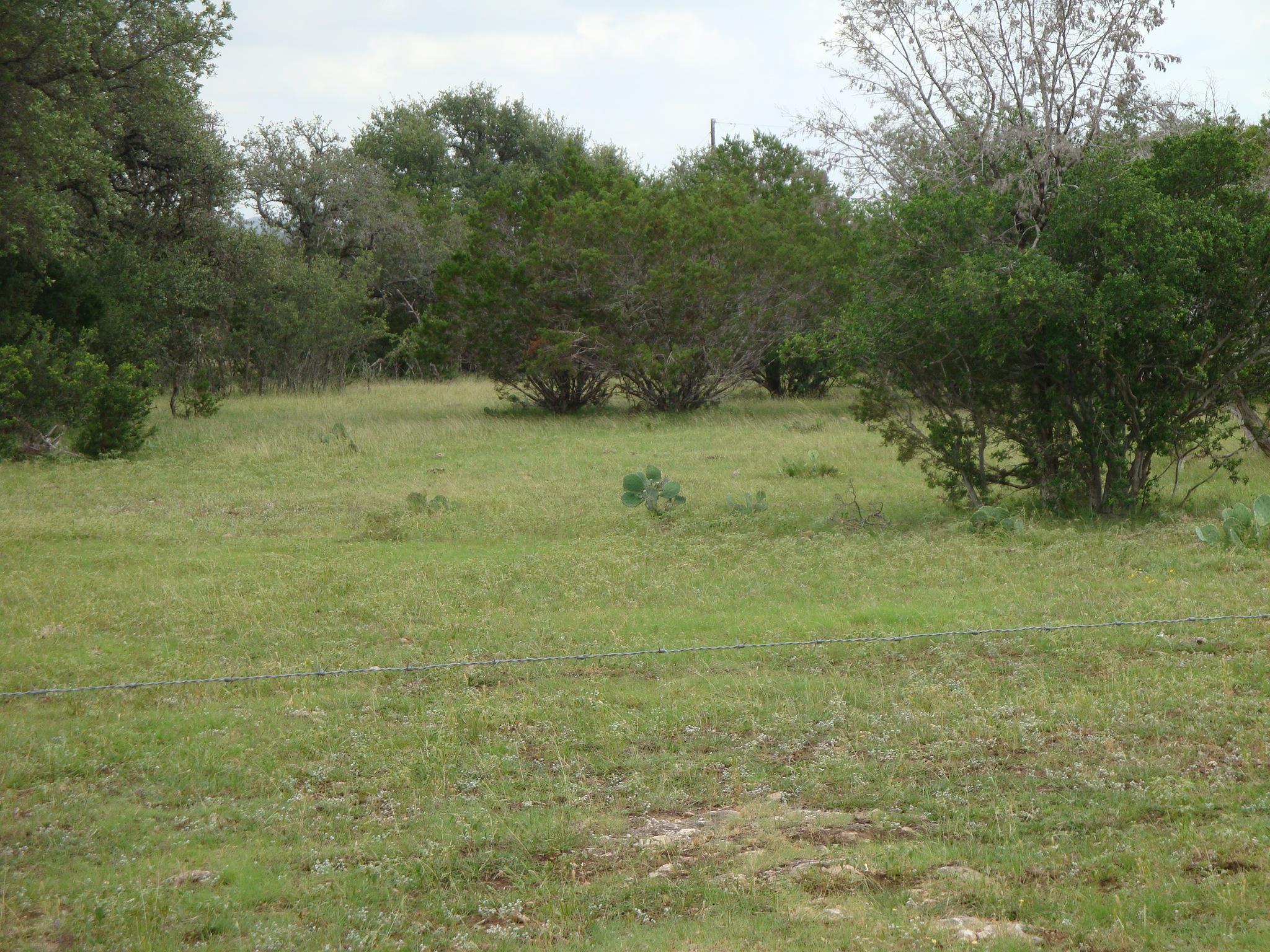 1619 Althaus Ranch Rd Property Photo 38