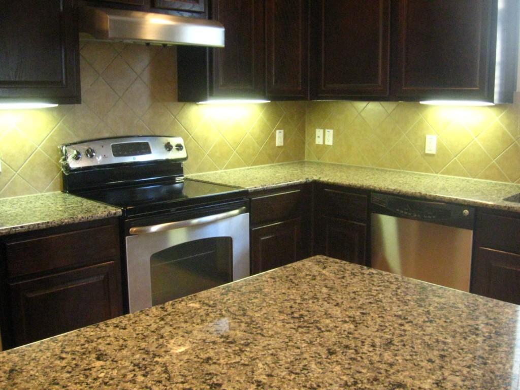 12704 Venice Ln Property Photo 6