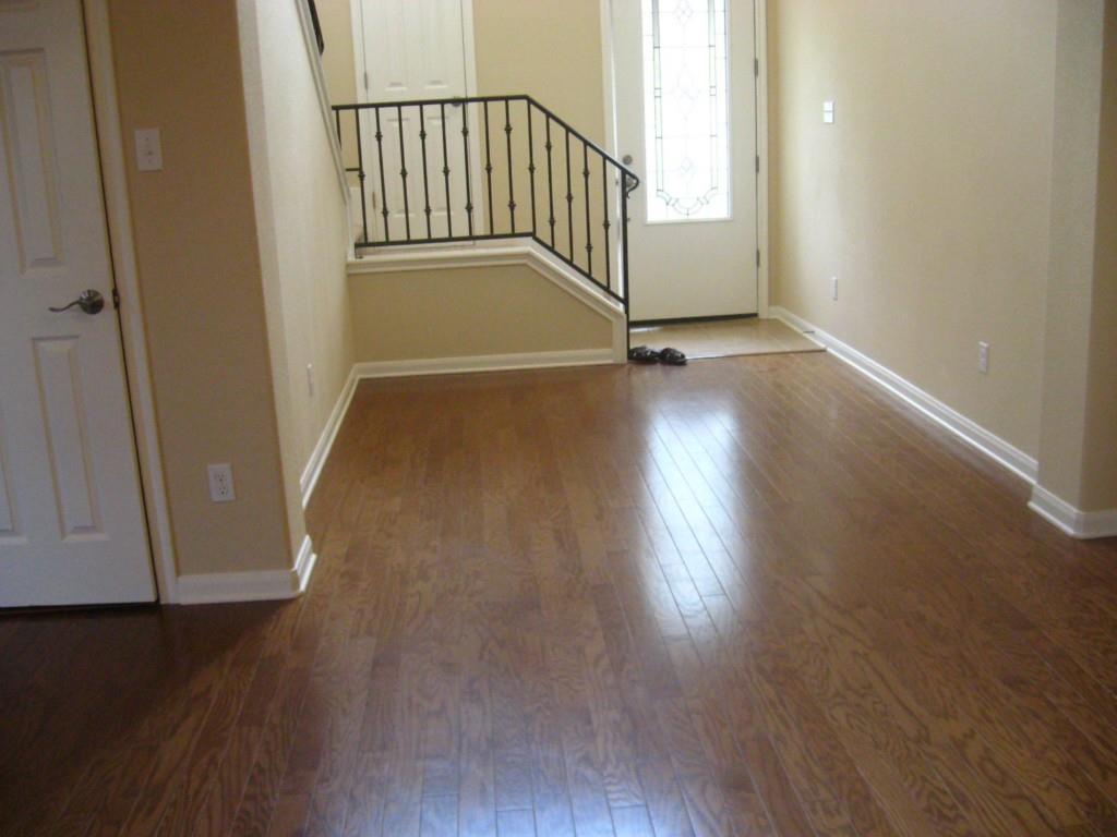 12704 Venice Ln Property Photo 8