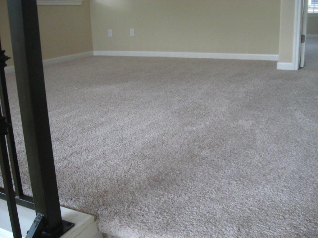12704 Venice Ln Property Photo 10