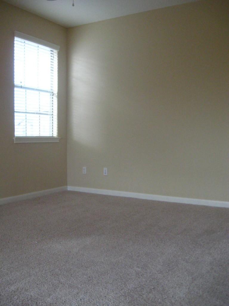 12704 Venice Ln Property Photo 11