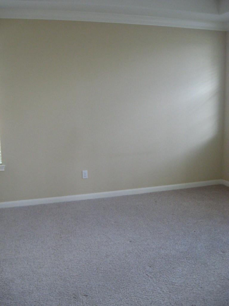 12704 Venice Ln Property Photo 16