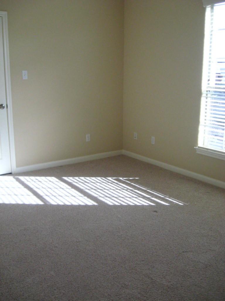12704 Venice Ln Property Photo 21