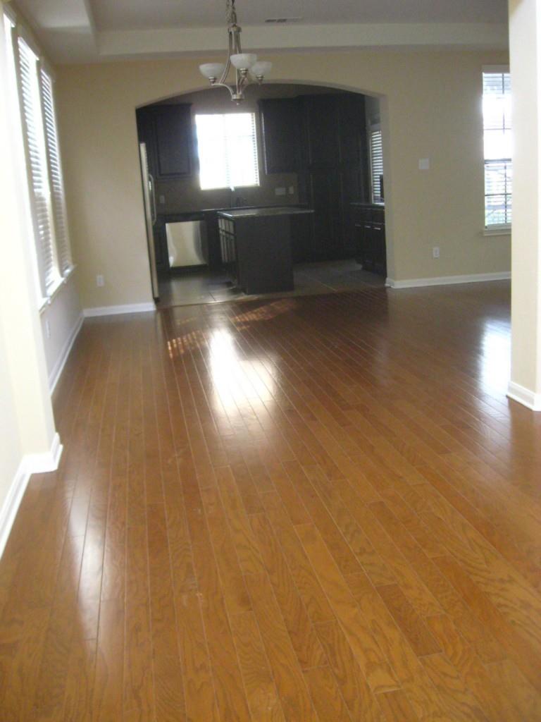 12704 Venice Ln Property Photo 23