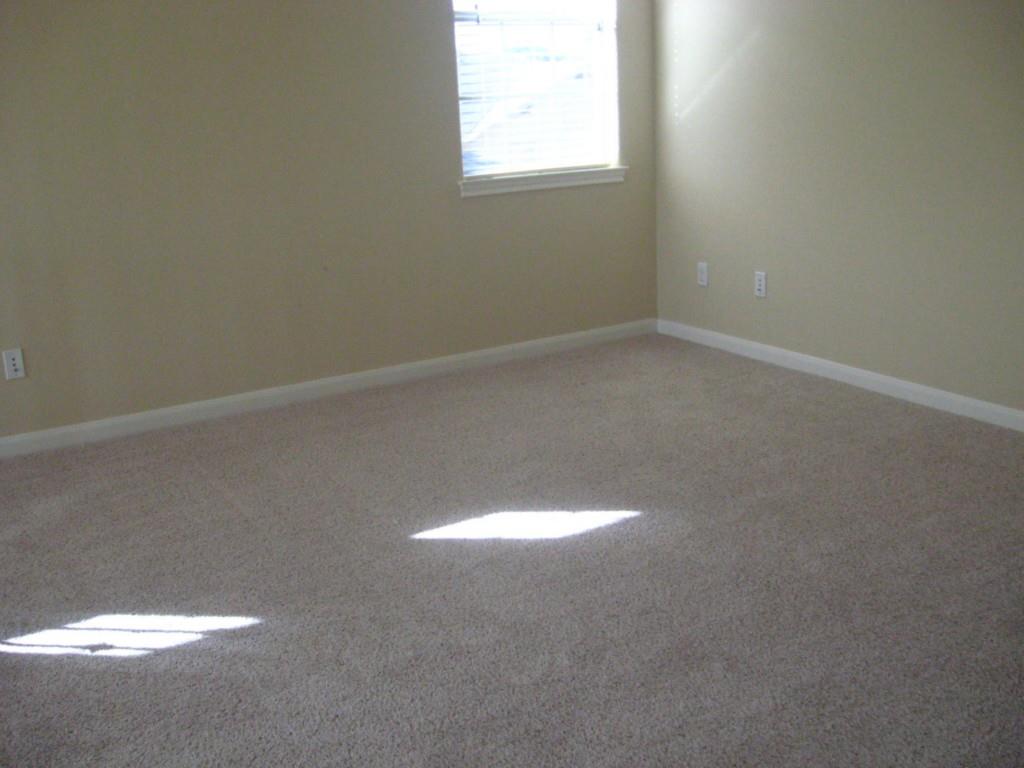 12704 Venice Ln Property Photo 25