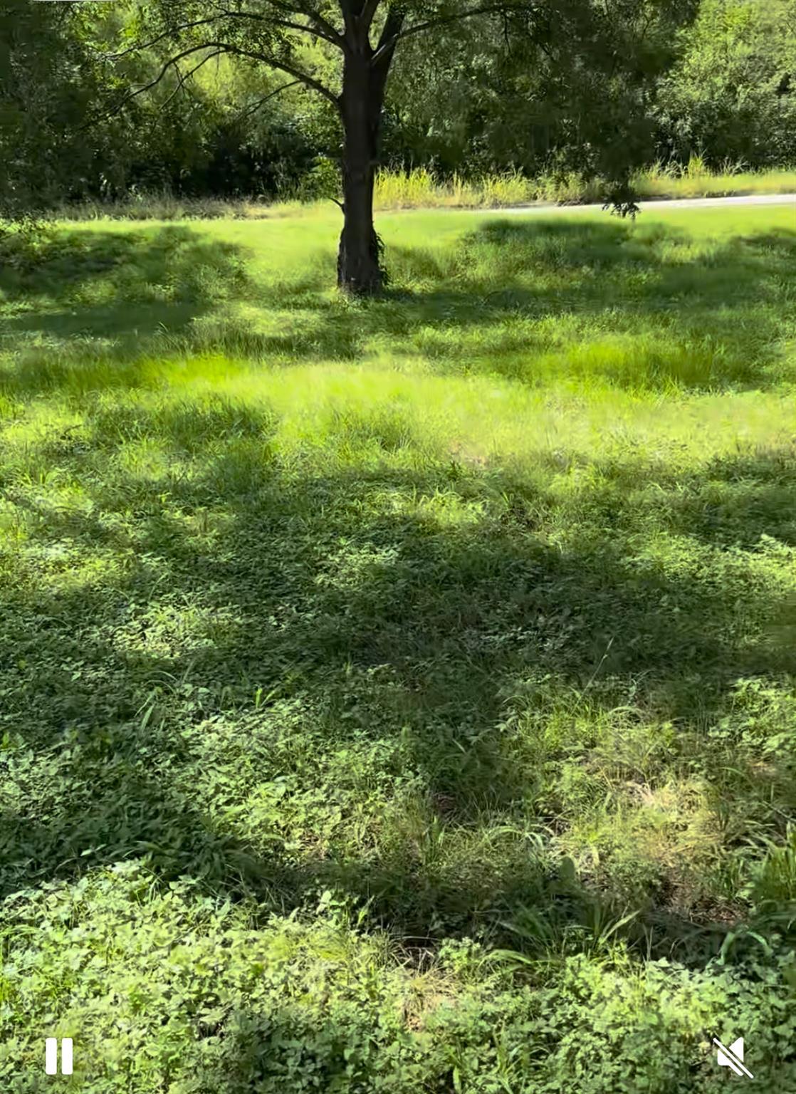 10002 Highway Fm 969 Rd Property Photo 1