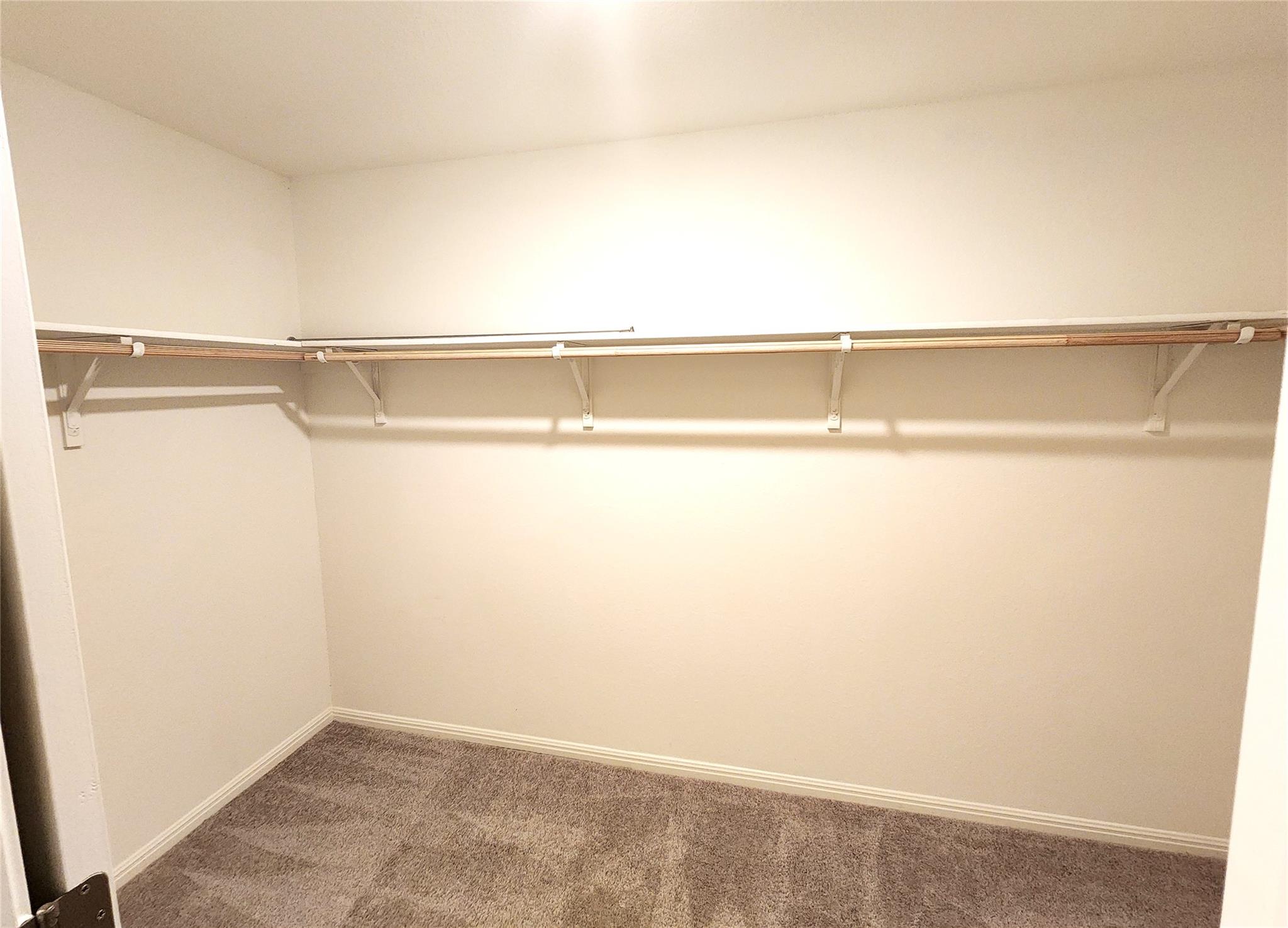 243 Waterbuck Loop Property Photo 13