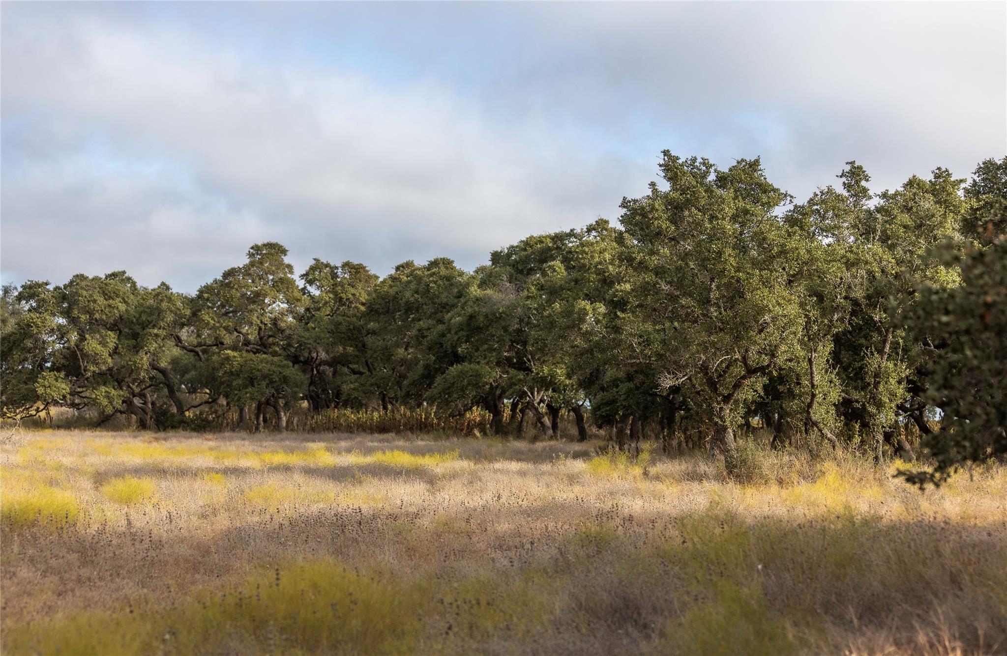 Lot 1 Legacy Hills Dr Property Photo 5