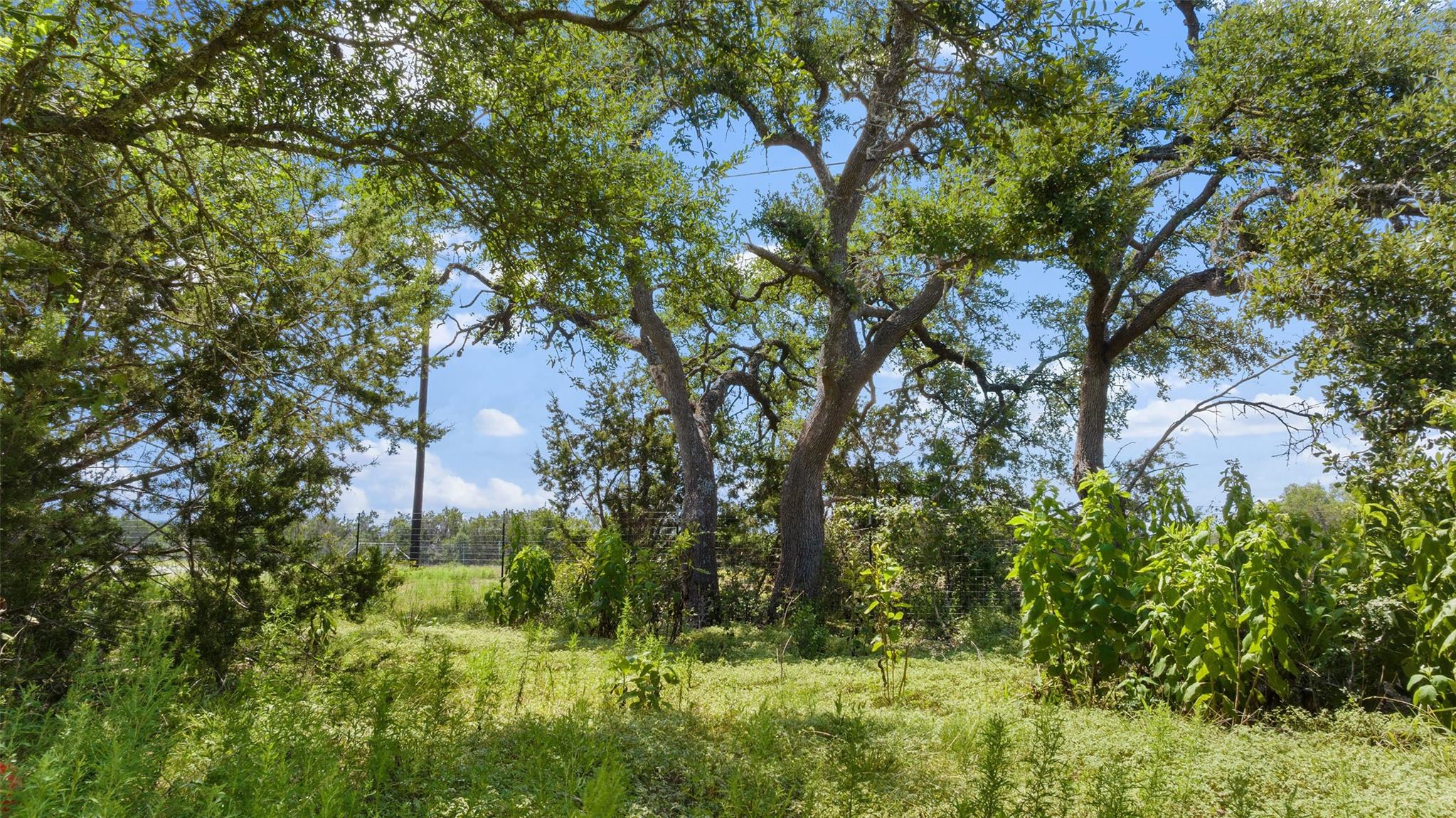 Lot 1 Legacy Hills Dr Property Photo 26