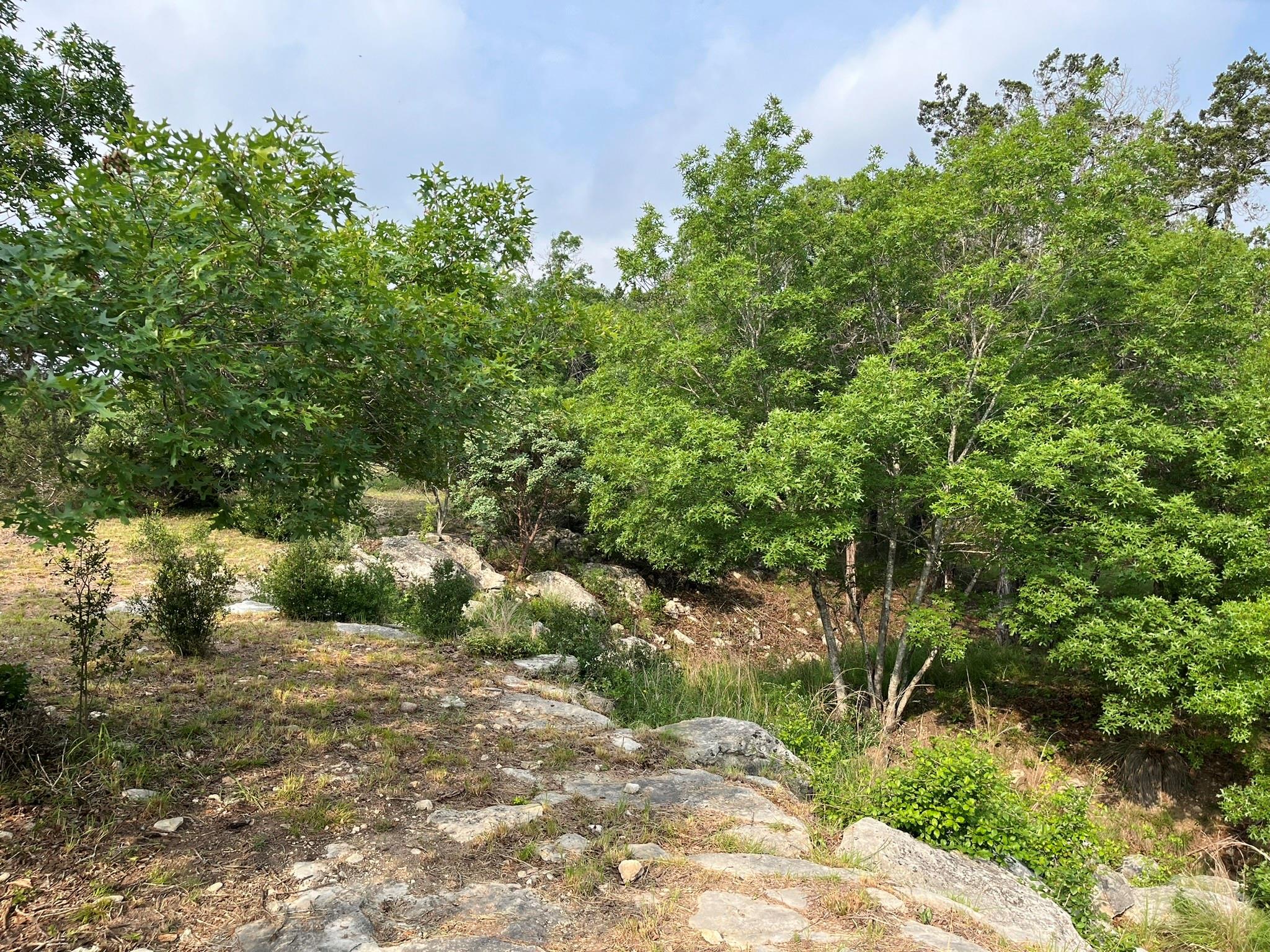 509 Greystone Rd Property Photo 11