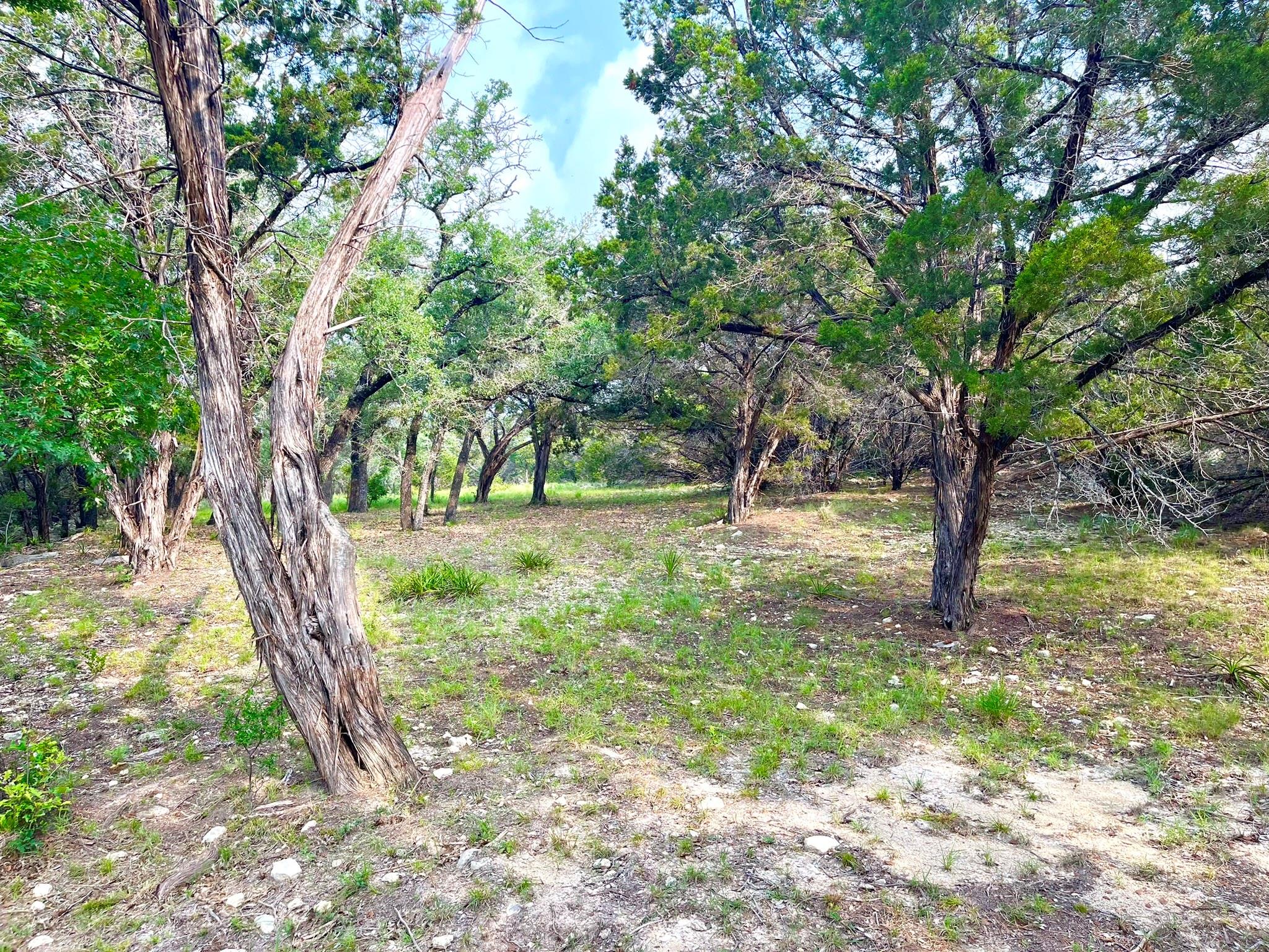 509 Greystone Rd Property Photo 17