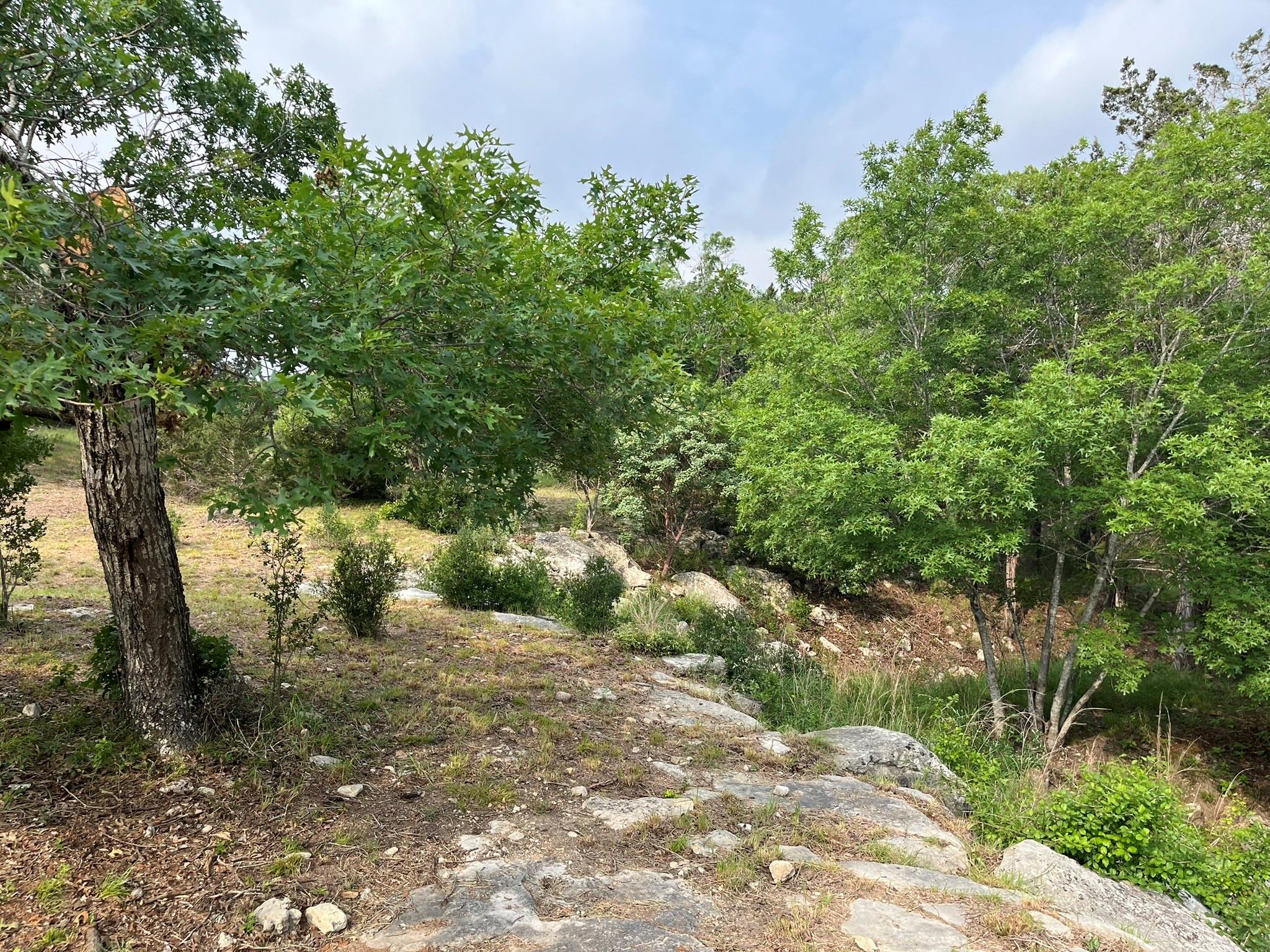 509 Greystone Rd Property Photo 18