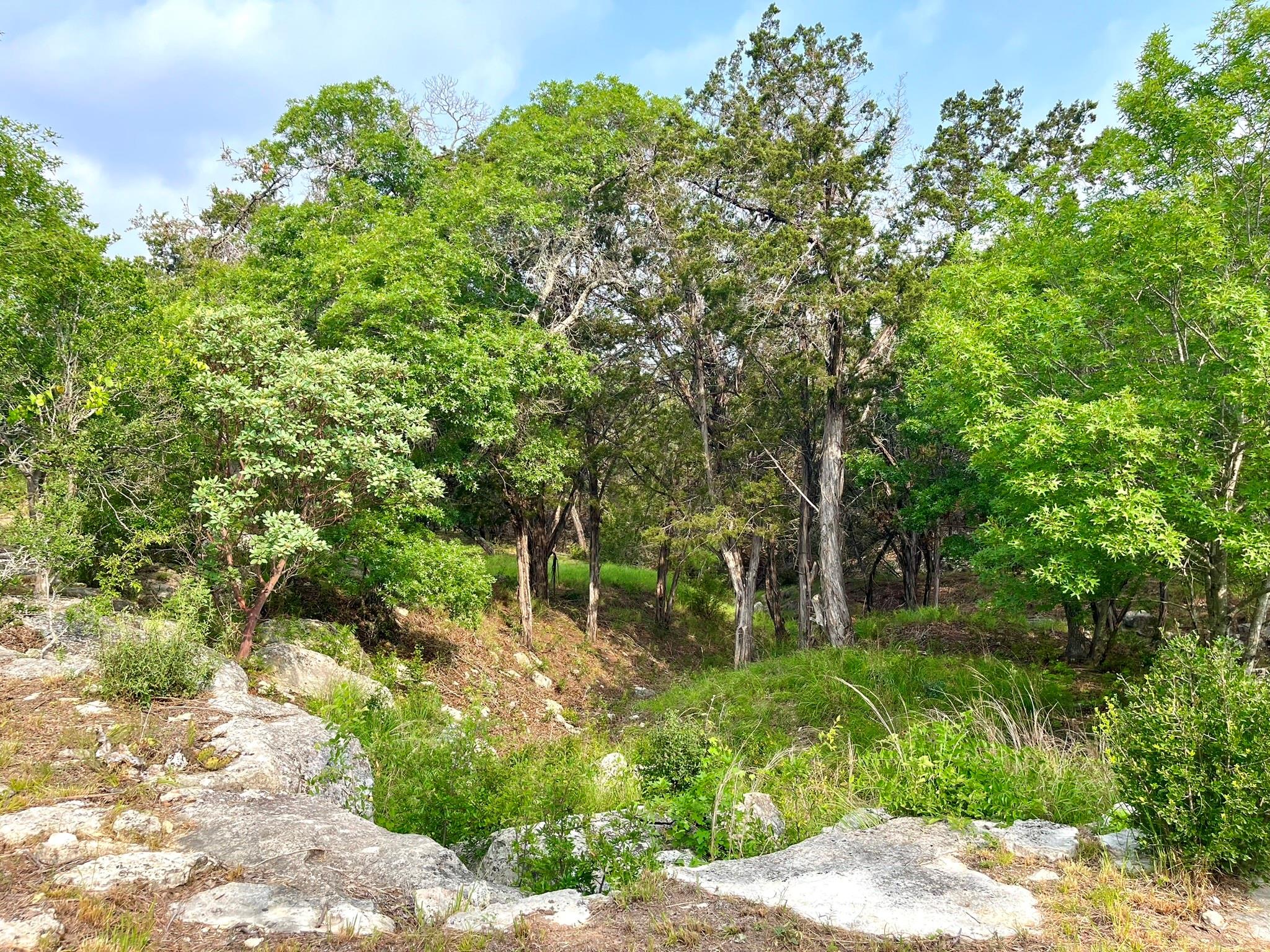 509 Greystone Rd Property Photo 20