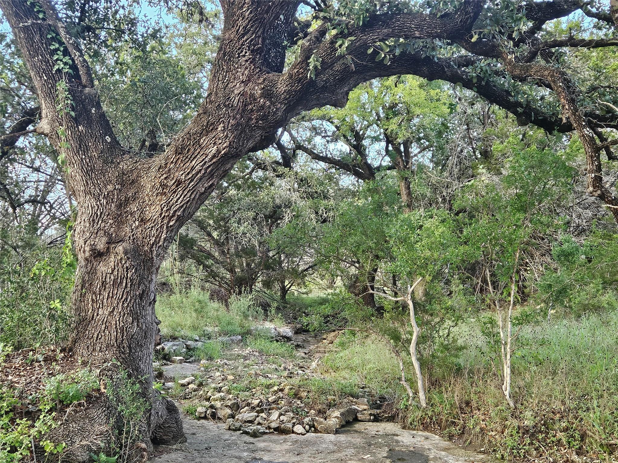 9939 County Road 404 None Property Photo 7