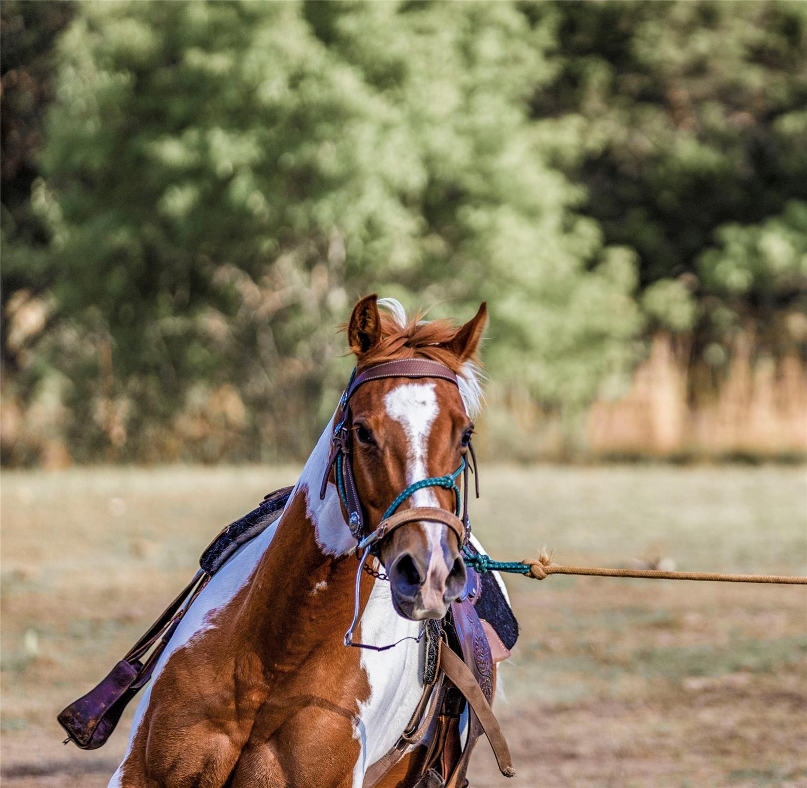 9939 County Road 404 None Property Photo 9