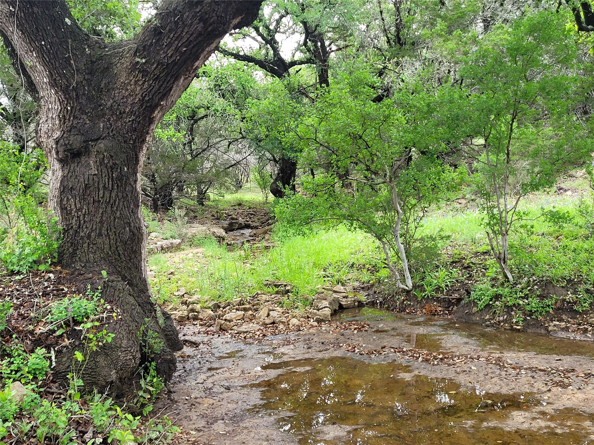9939 County Road 404 None Property Photo 12