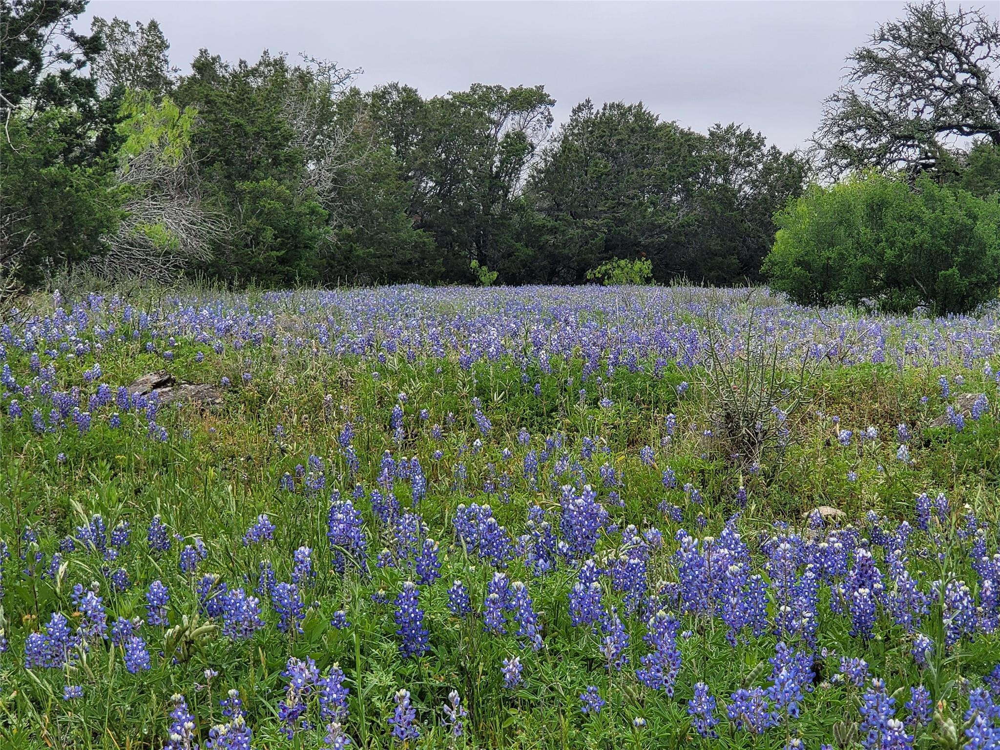9939 County Road 404 None Property Photo 16