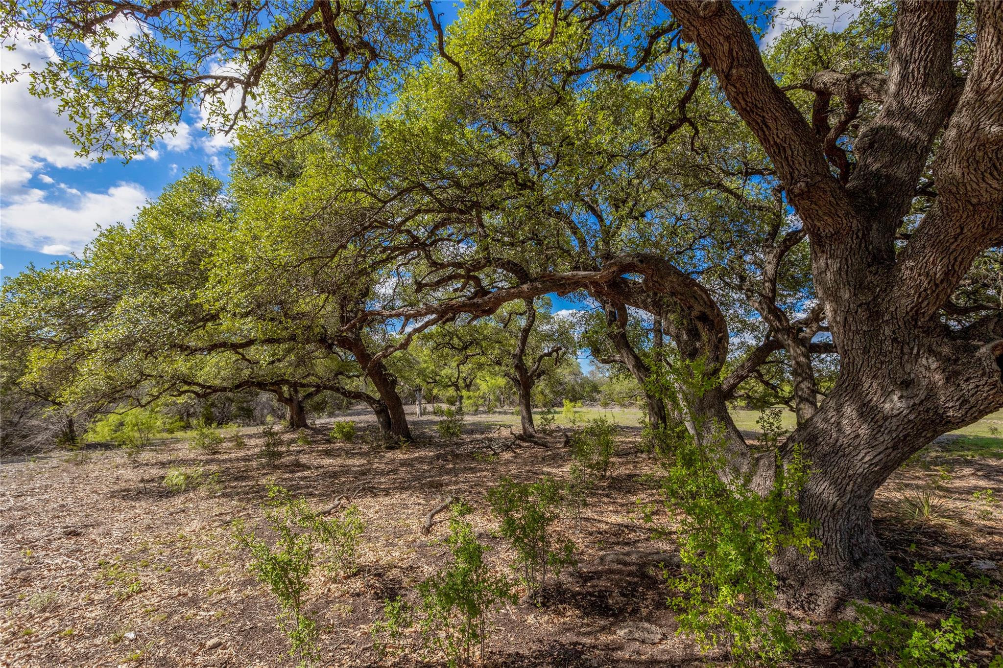 9939 County Road 404 None Property Photo 20