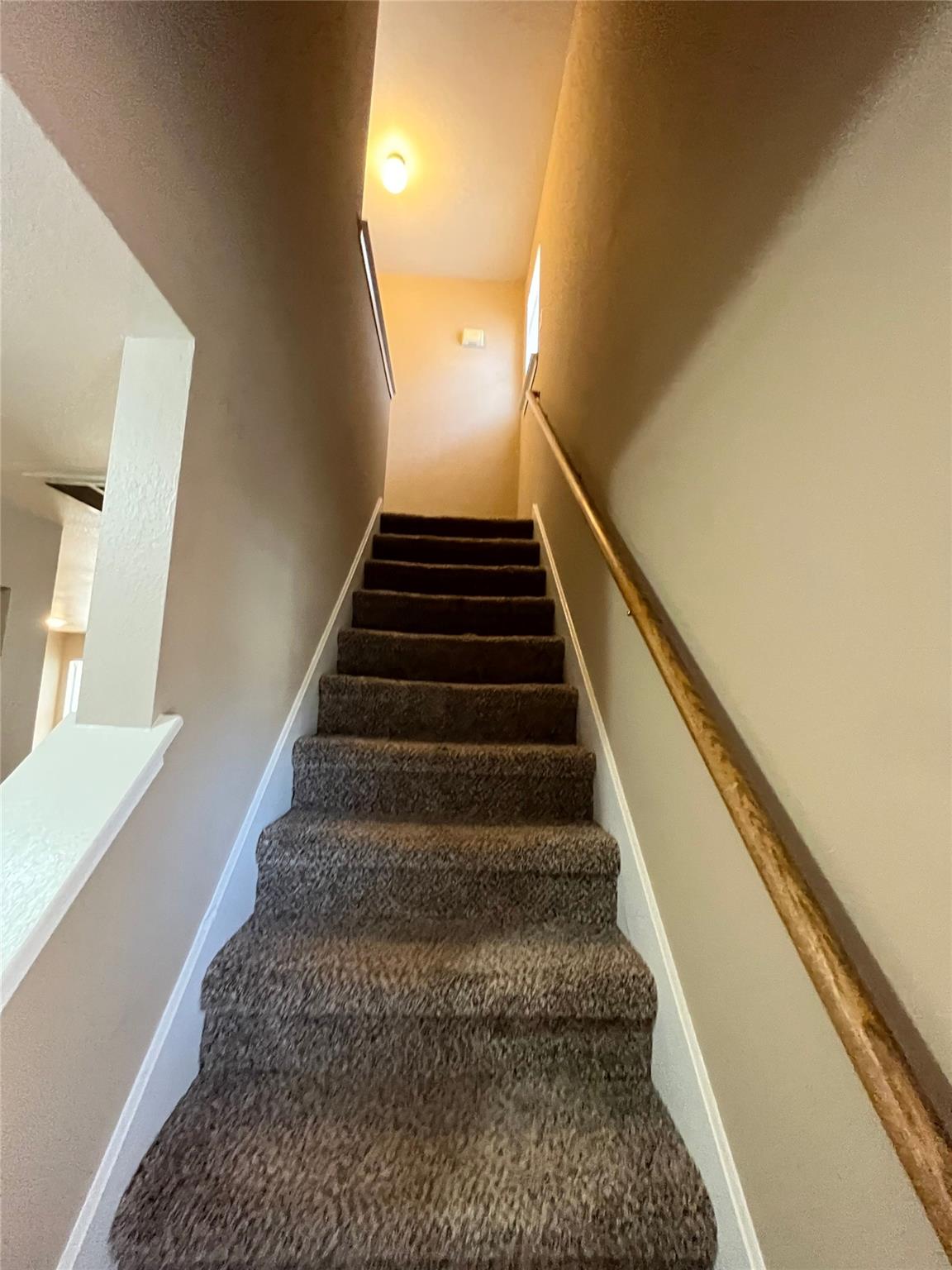 9625 Sugar Hill Dr Property Photo 11