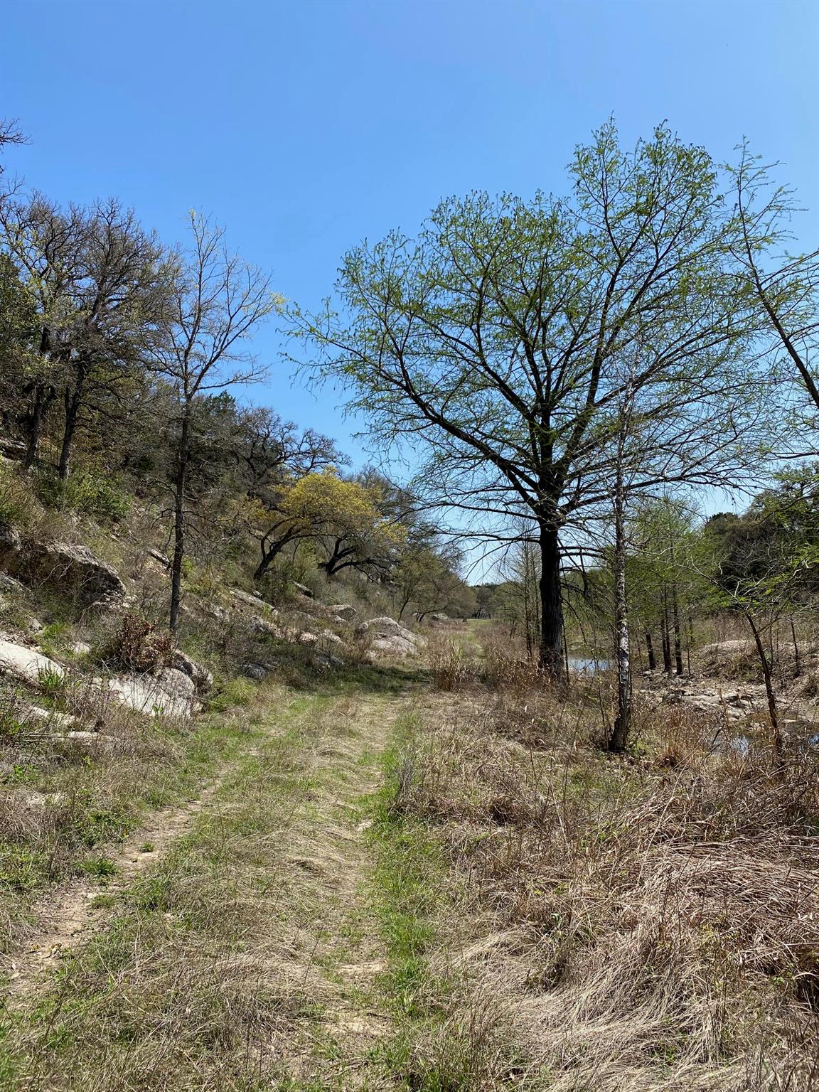 7301 Creek Rd Property Photo 22