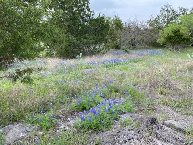 1365 Pedernales Hills Rd Property Photo 9