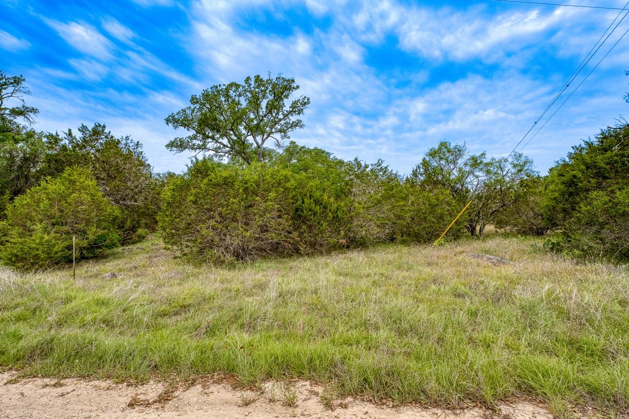 1365 Pedernales Hills Rd Property Photo 14