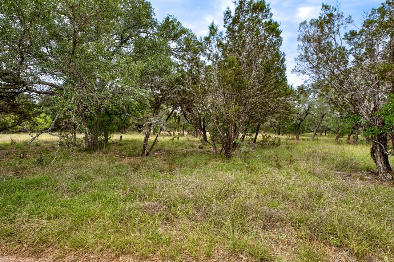 1365 Pedernales Hills Rd Property Photo 18