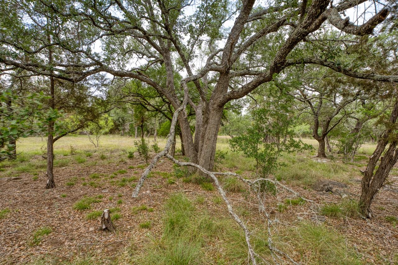 1365 Pedernales Hills Rd Property Photo 19