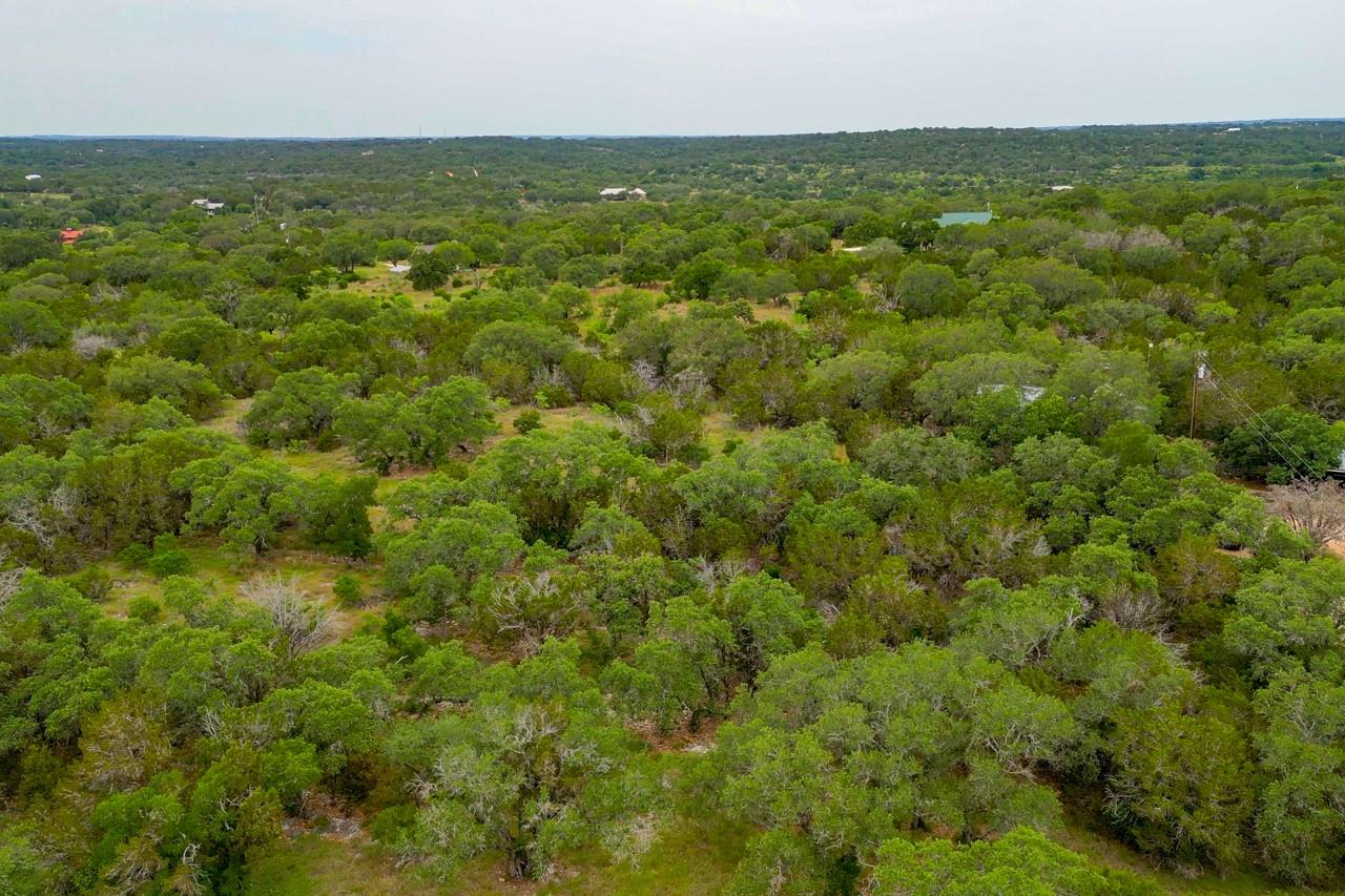 1365 Pedernales Hills Rd Property Photo 29