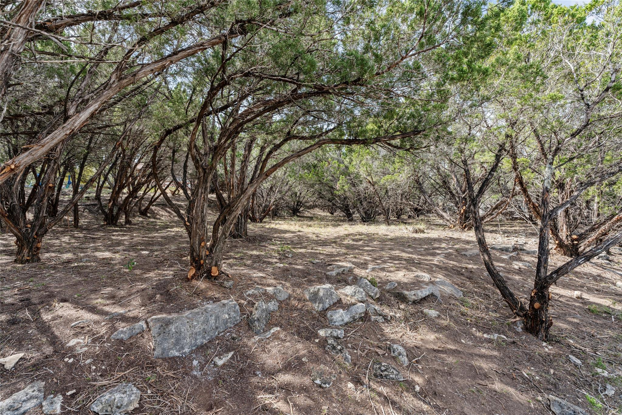 20605 Branding Iron Property Photo 2