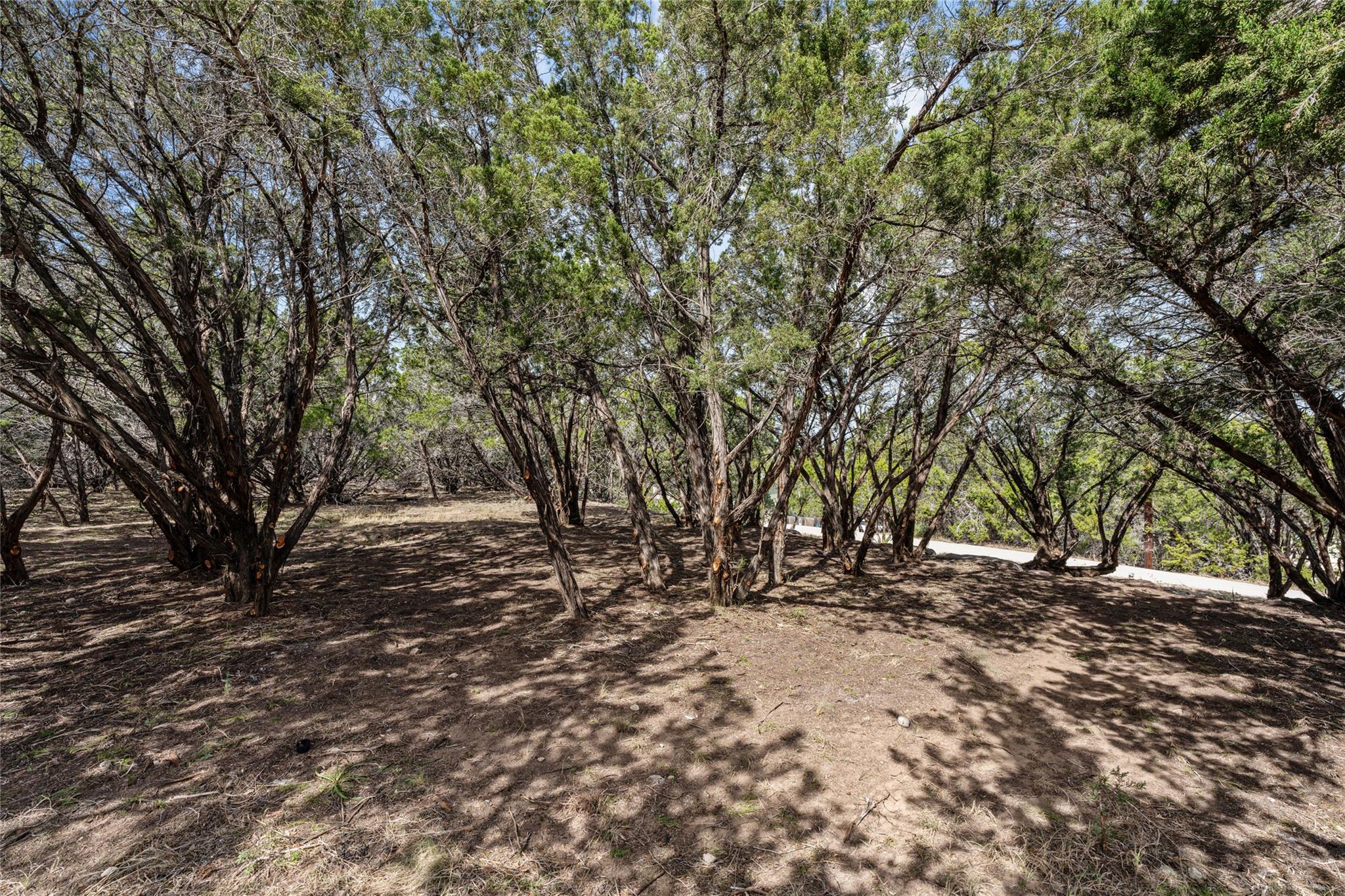 20605 Branding Iron Property Photo 3