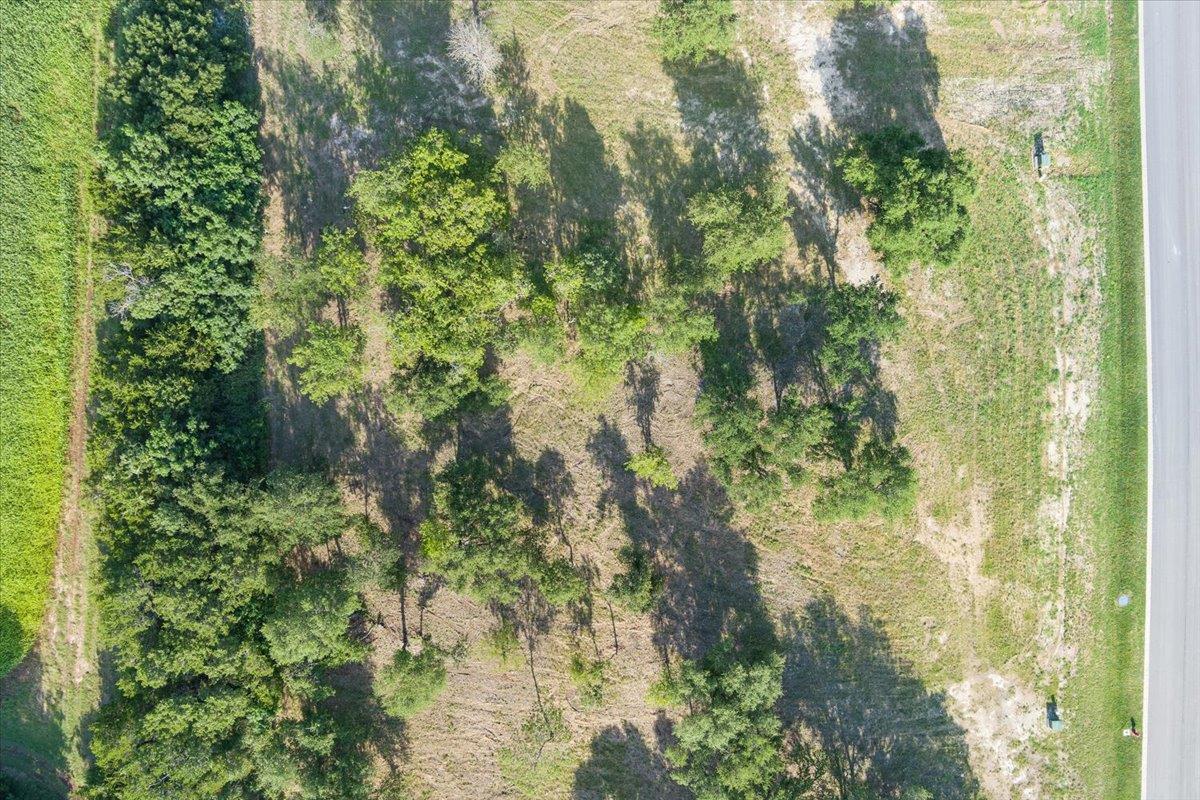 10114 Blanco Springs Rd Property Photo 3