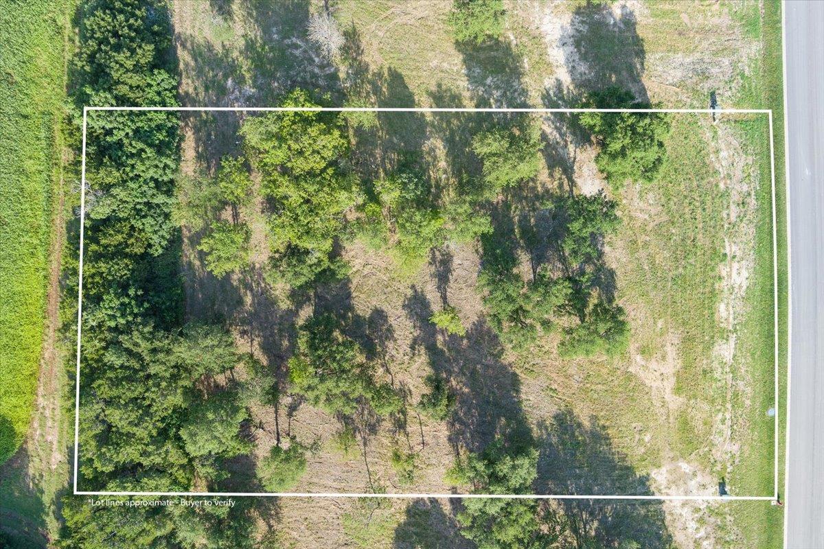 10114 Blanco Springs Rd Property Photo 4
