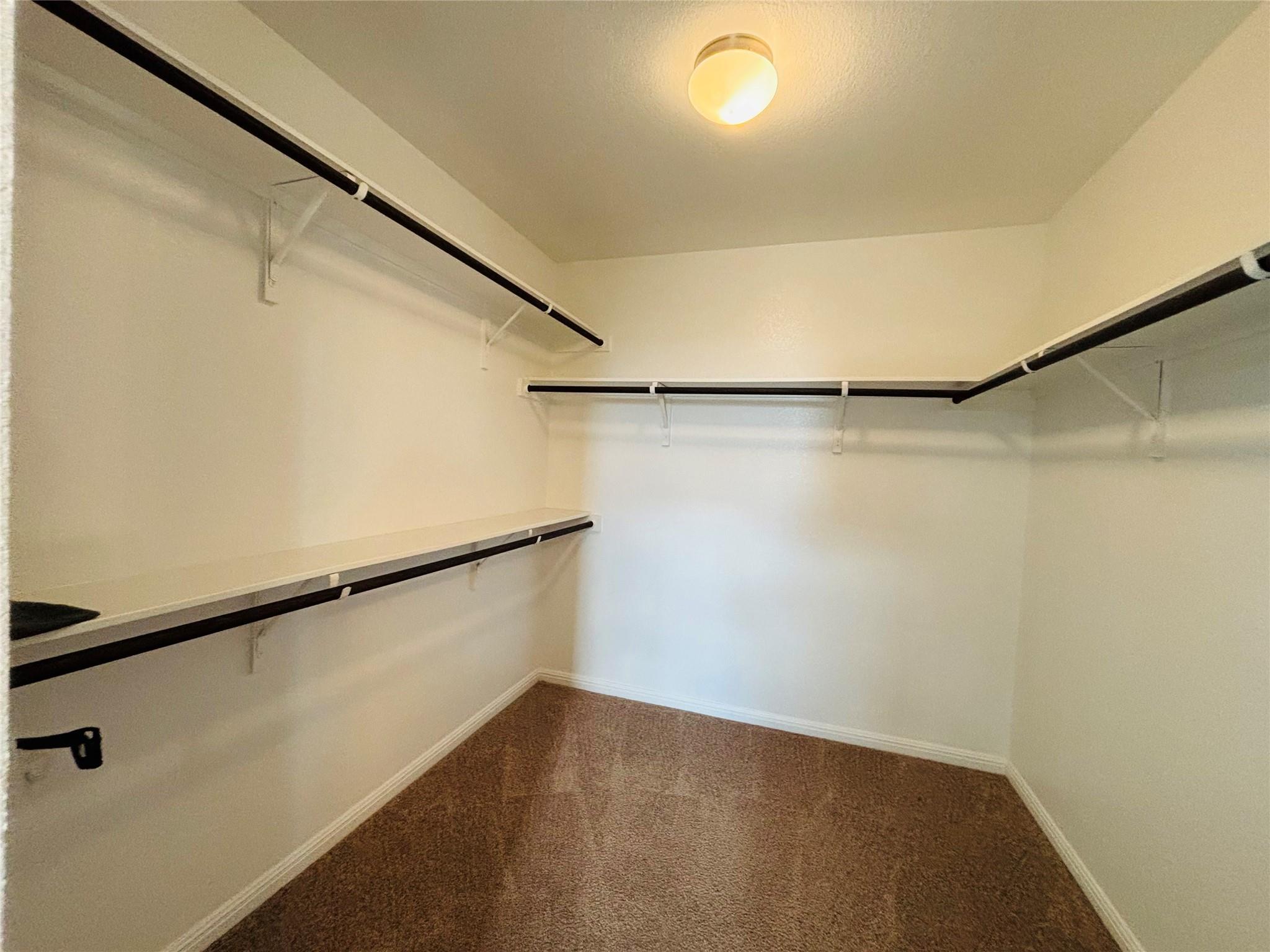 12605 Albatross Pass Property Photo 18